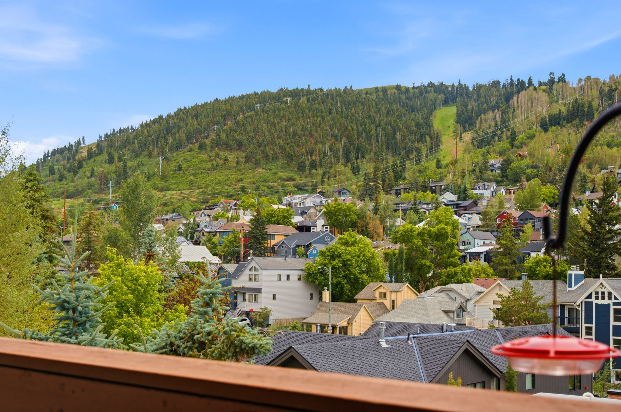 View from Deck