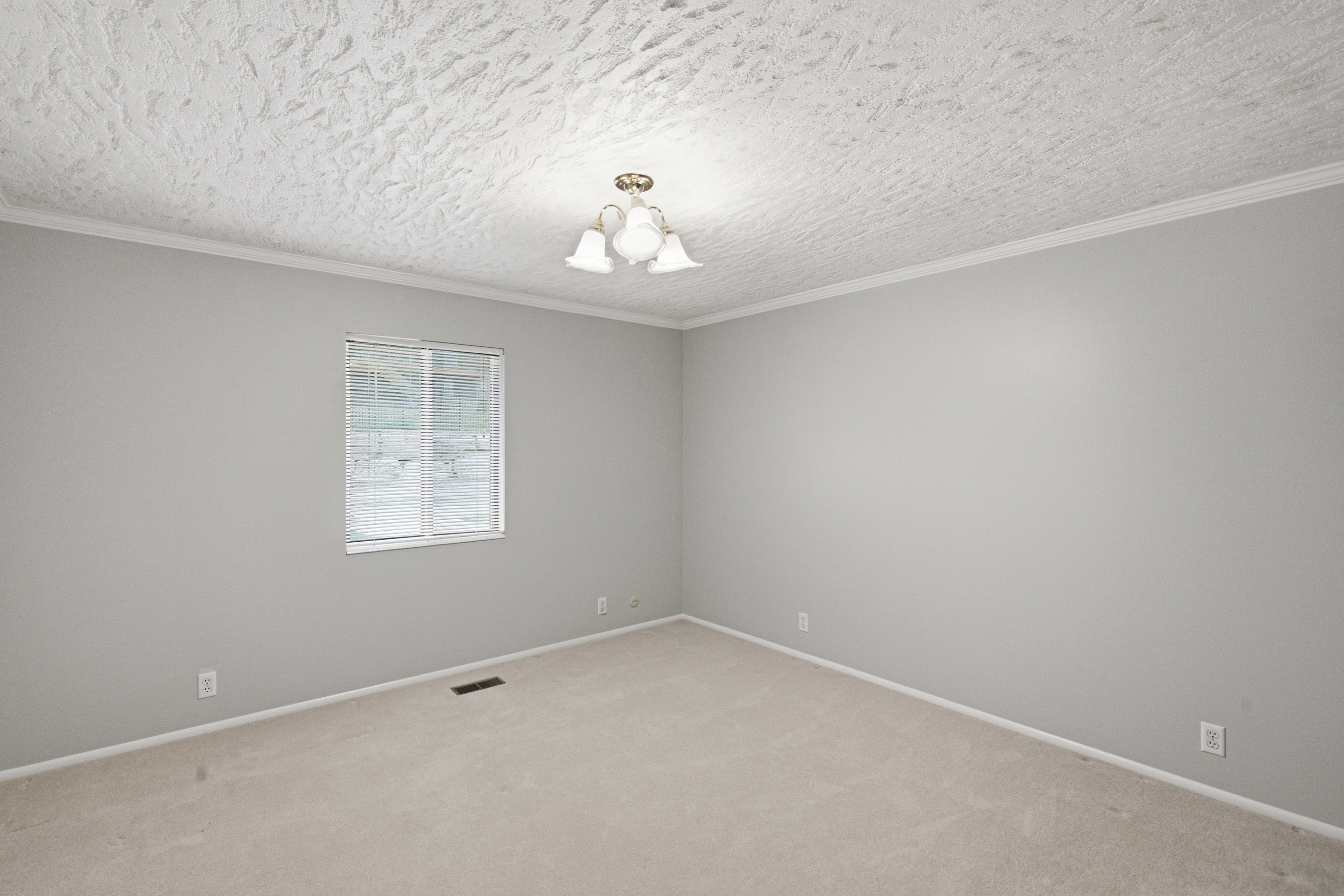 Spacious room featuring neutral carpeting, light gray wall paint, and white crown molding
