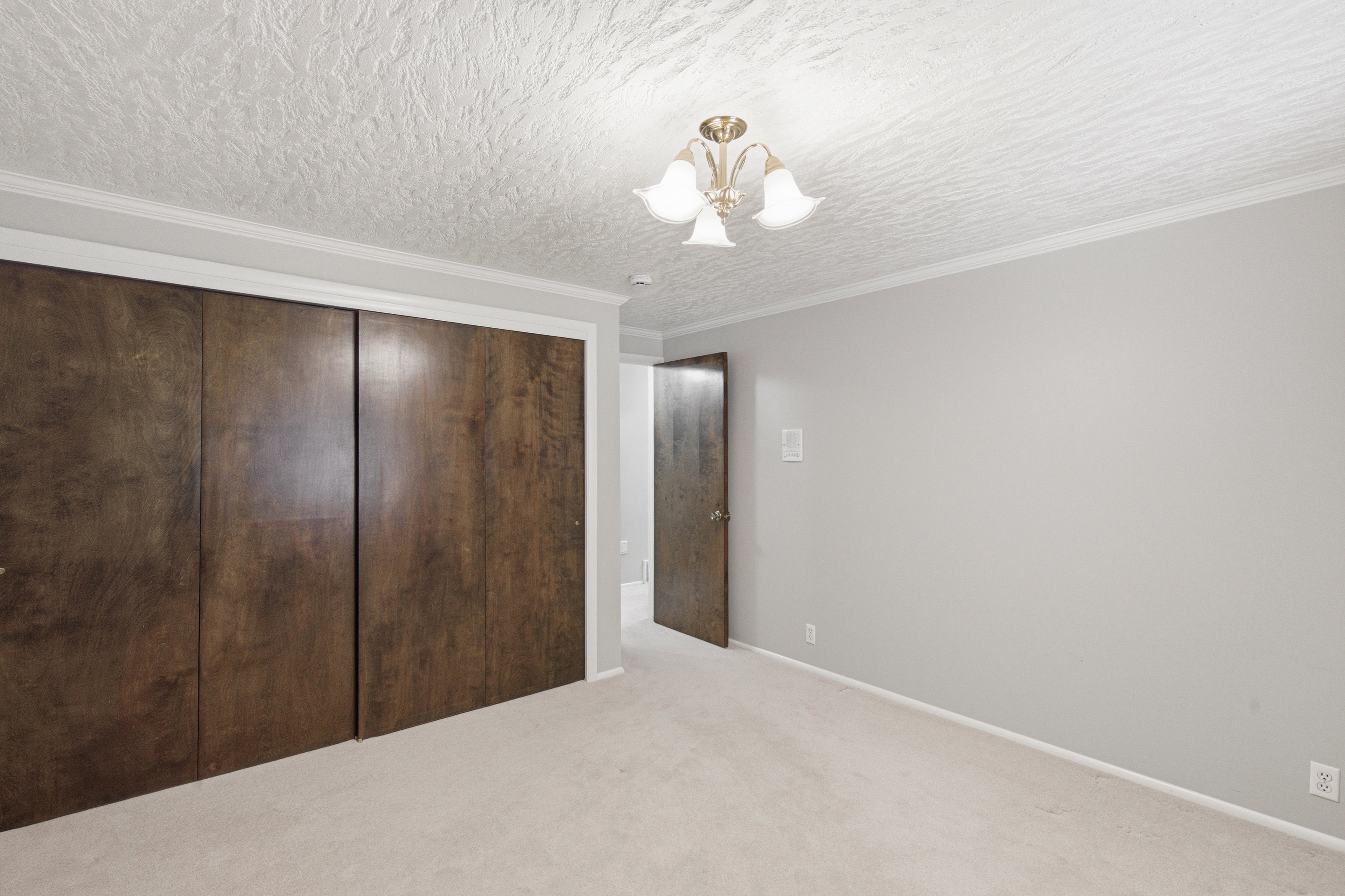 Spacious room featuring plush carpet flooring, light gray wall paint, and a textured ceiling