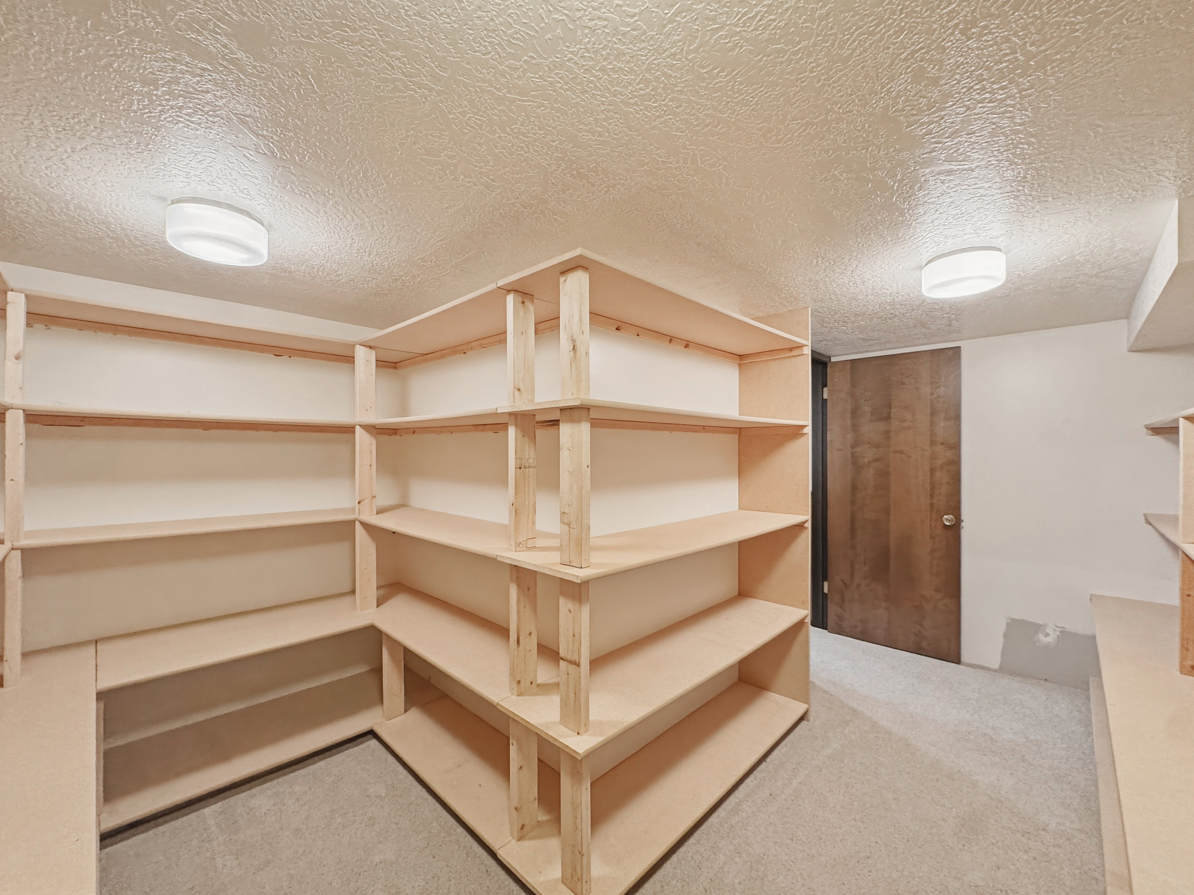 Spacious storage room featuring extensive built-in shelving, neutral wall paint, and light-colored carpeting