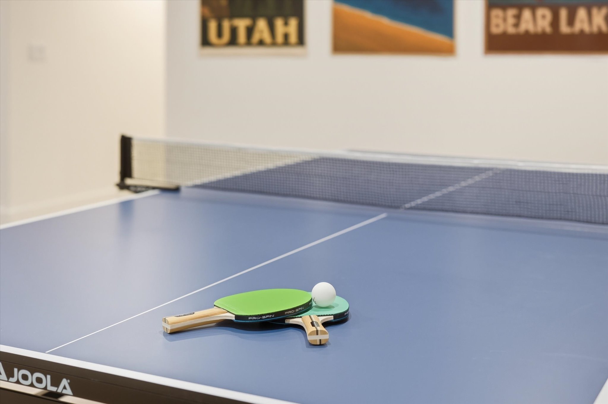 Recreational space featuring a blue-top ping pong table with white boundary lines and a net