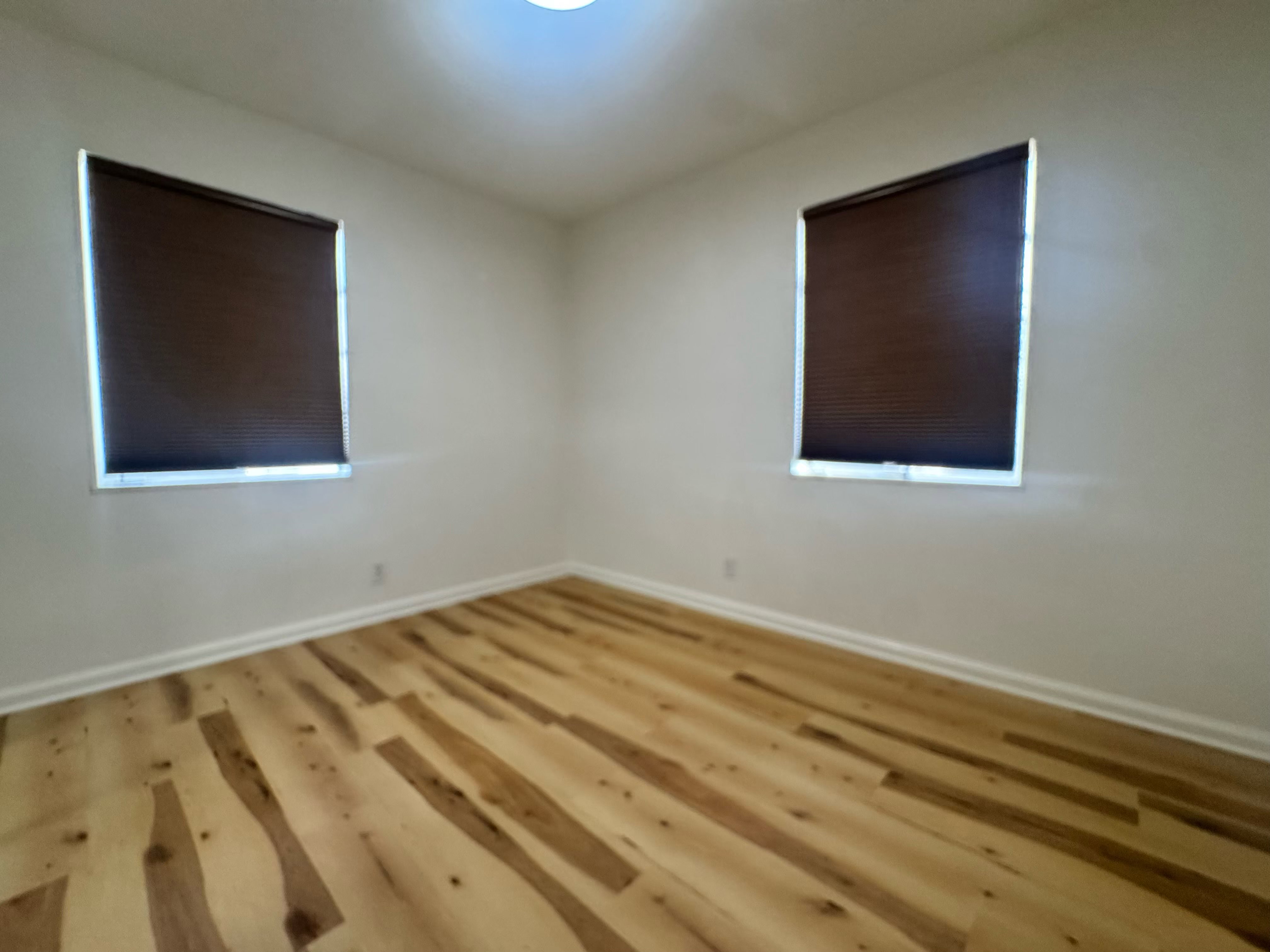 Room featuring two windows with dark cellular blinds and a ceiling-mounted light fixture