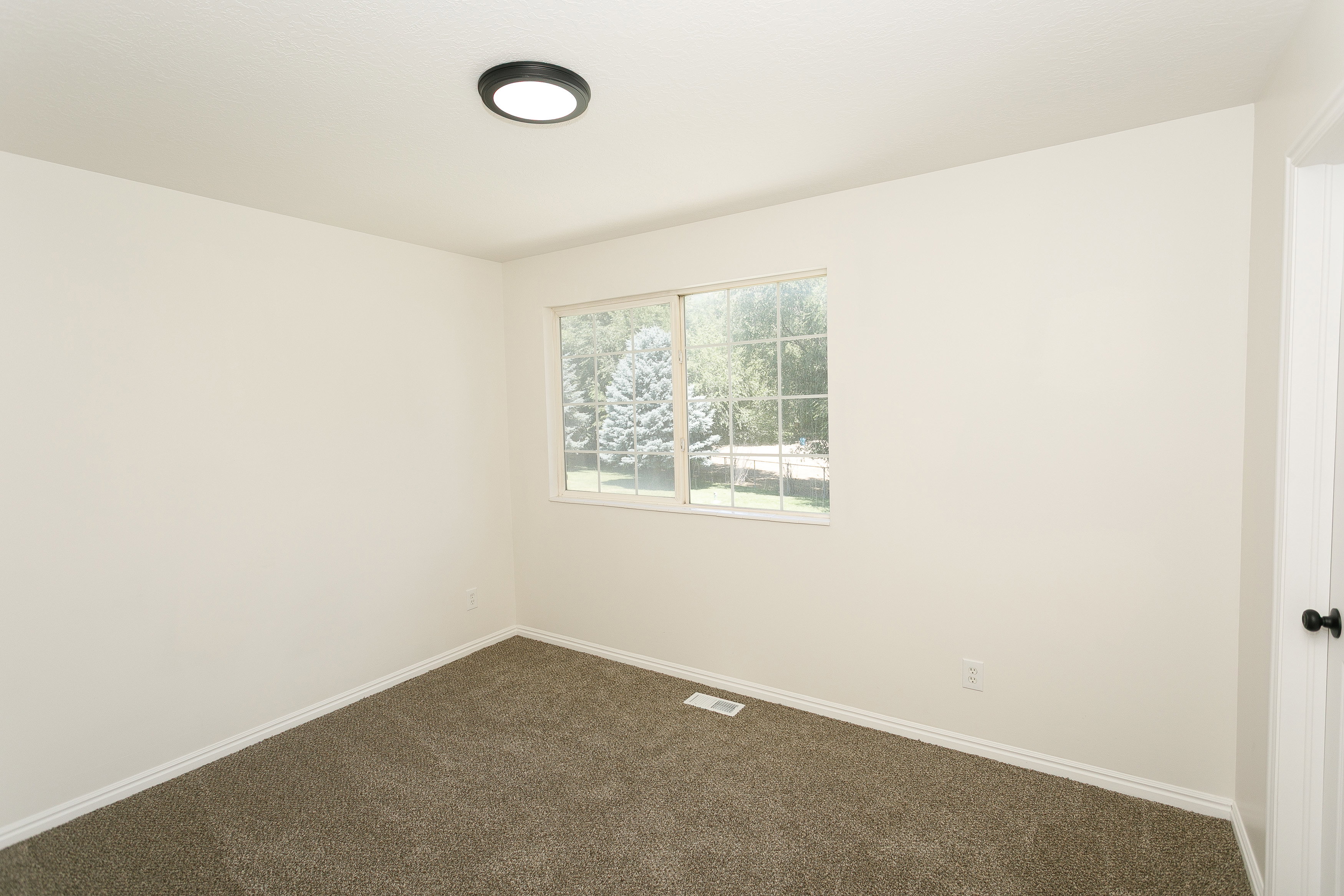 Room featuring a window with exterior tree scenery, flush mount ceiling light fixture, neutral tone walls, white trim, and textured carpet flooring