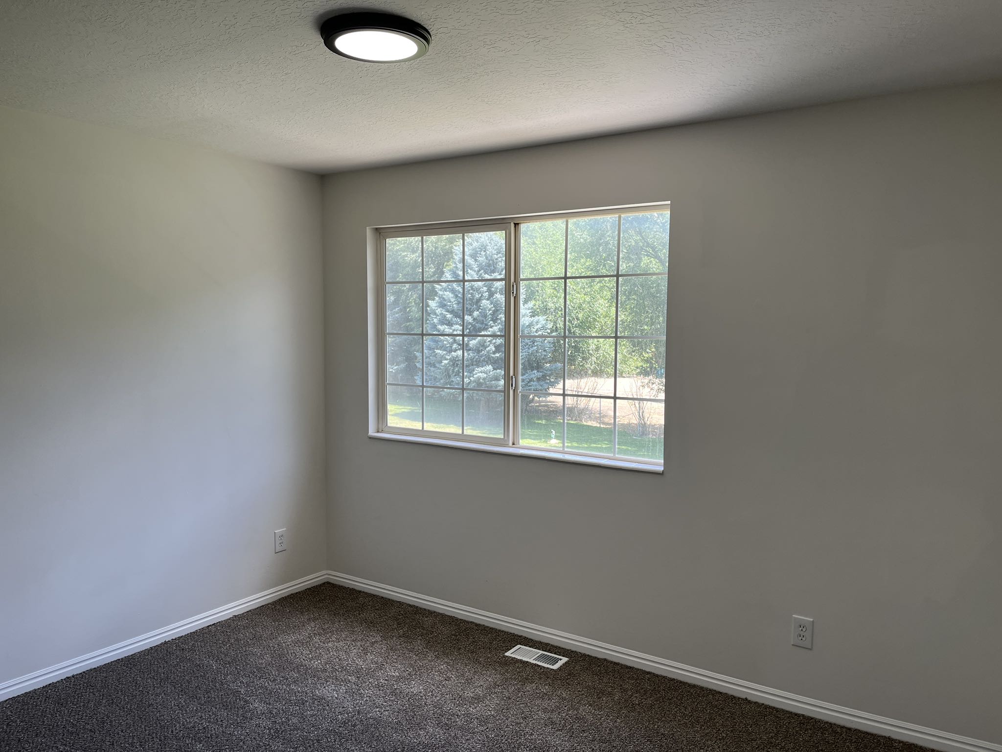 Neutral-toned room featuring a large grid-pattern window, dark carpeting, and white baseboards