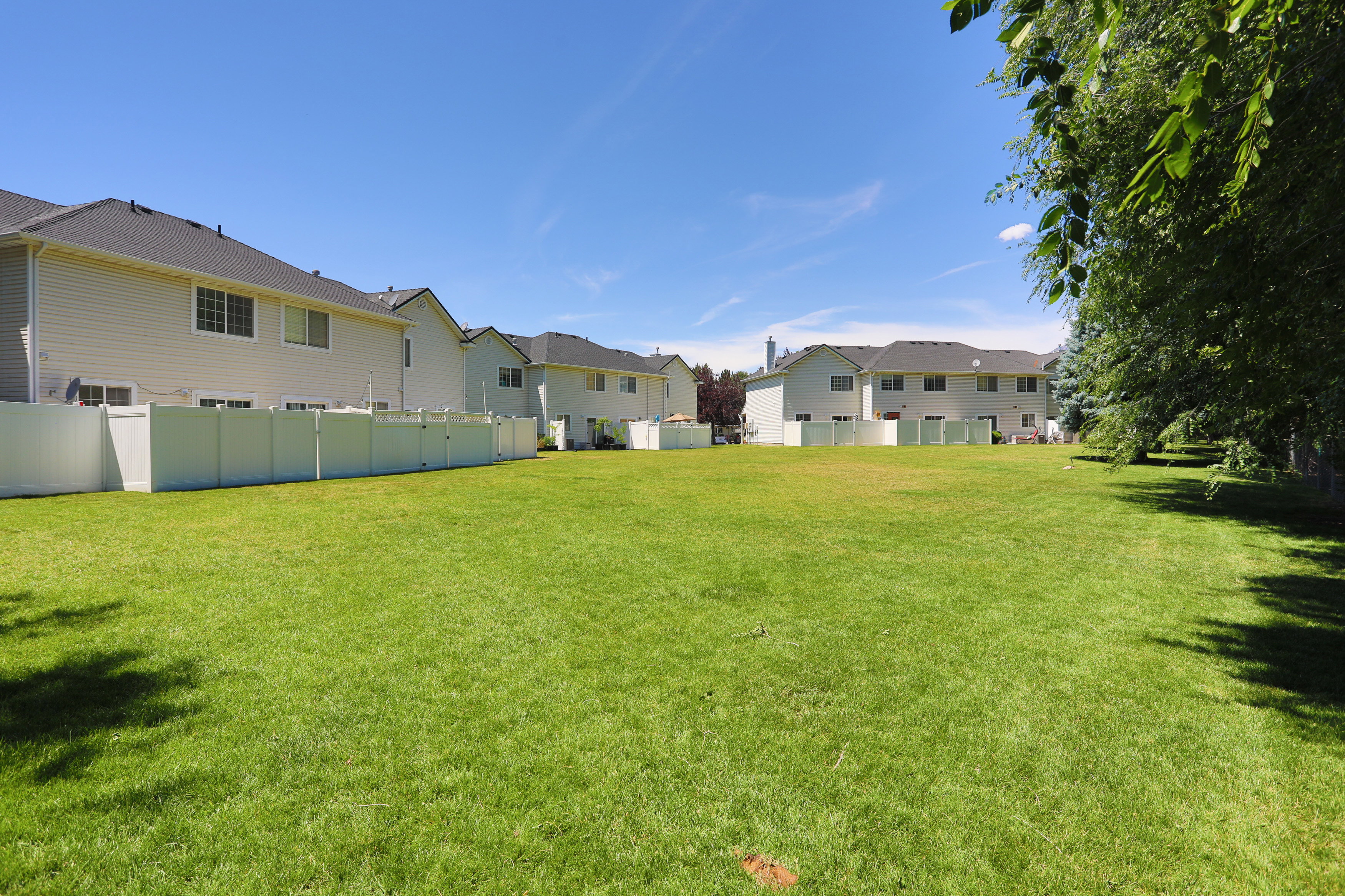 Expansive green space featuring a large lawn area and mature perimeter trees