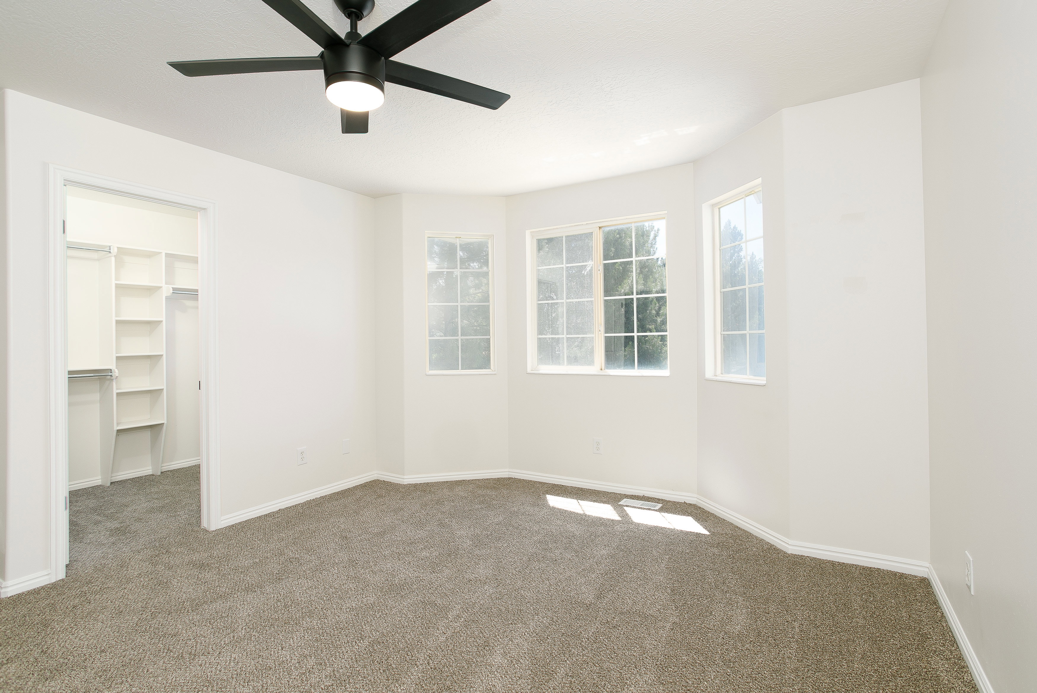 Carpeted room featuring a bay window with three multi-pane windows, a black ceiling fan with integrated lighting, and a walk-in closet with built-in shelving