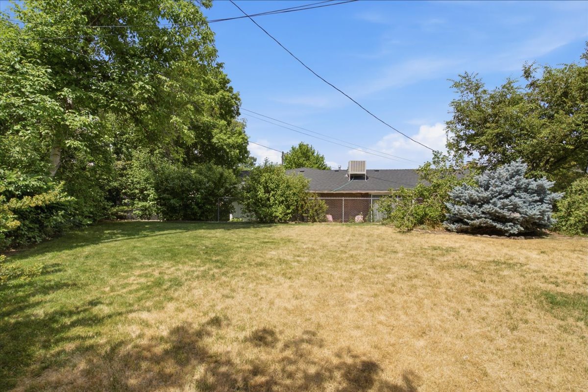 Expansive backyard featuring a large grassy area, mature perimeter trees, and a chain-link fence