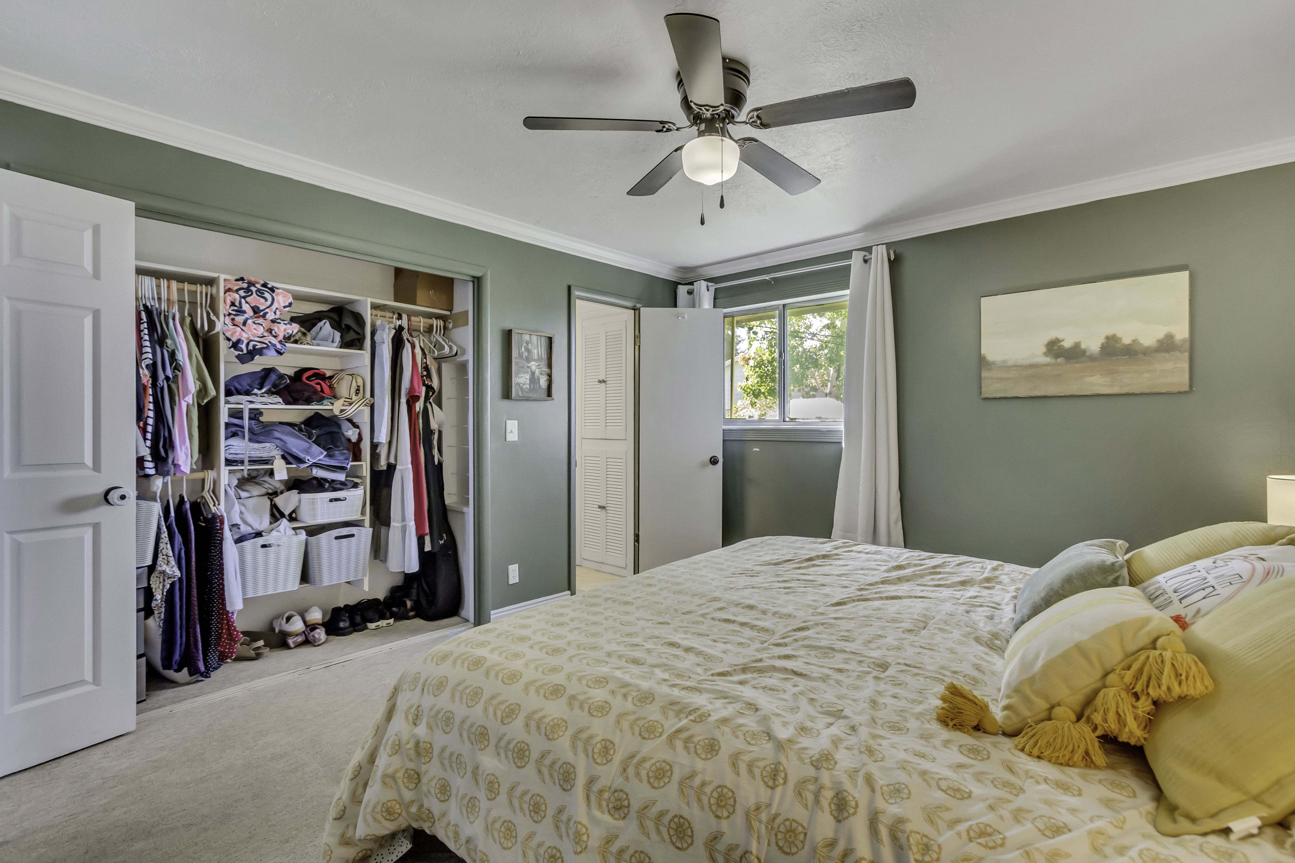 Carpeted room featuring a ceiling fan with integrated lighting, a window with white curtains, and a built-in closet with shelving