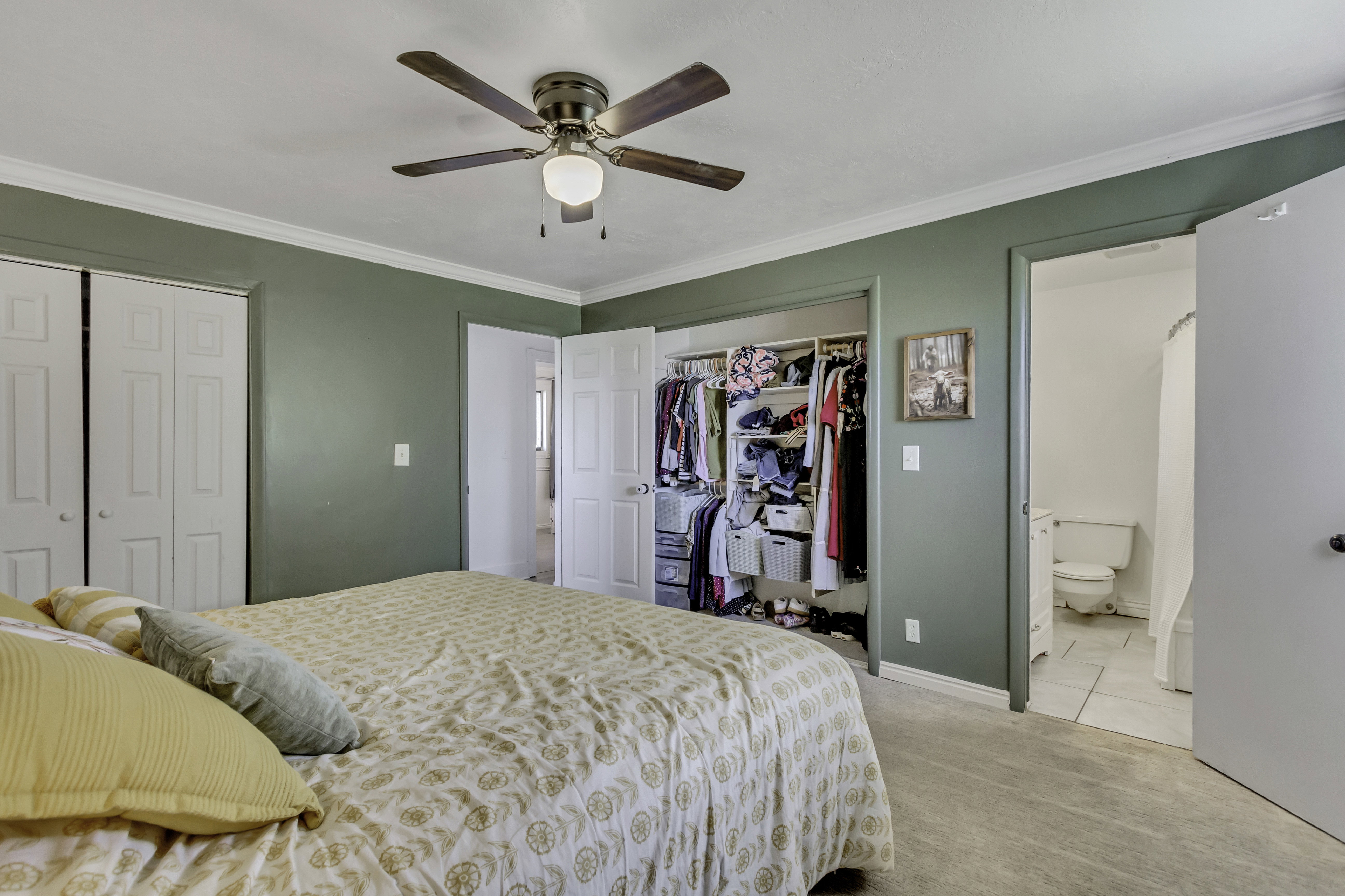 Carpeted room with a ceiling fan, crown molding, and two bi-fold closet doors