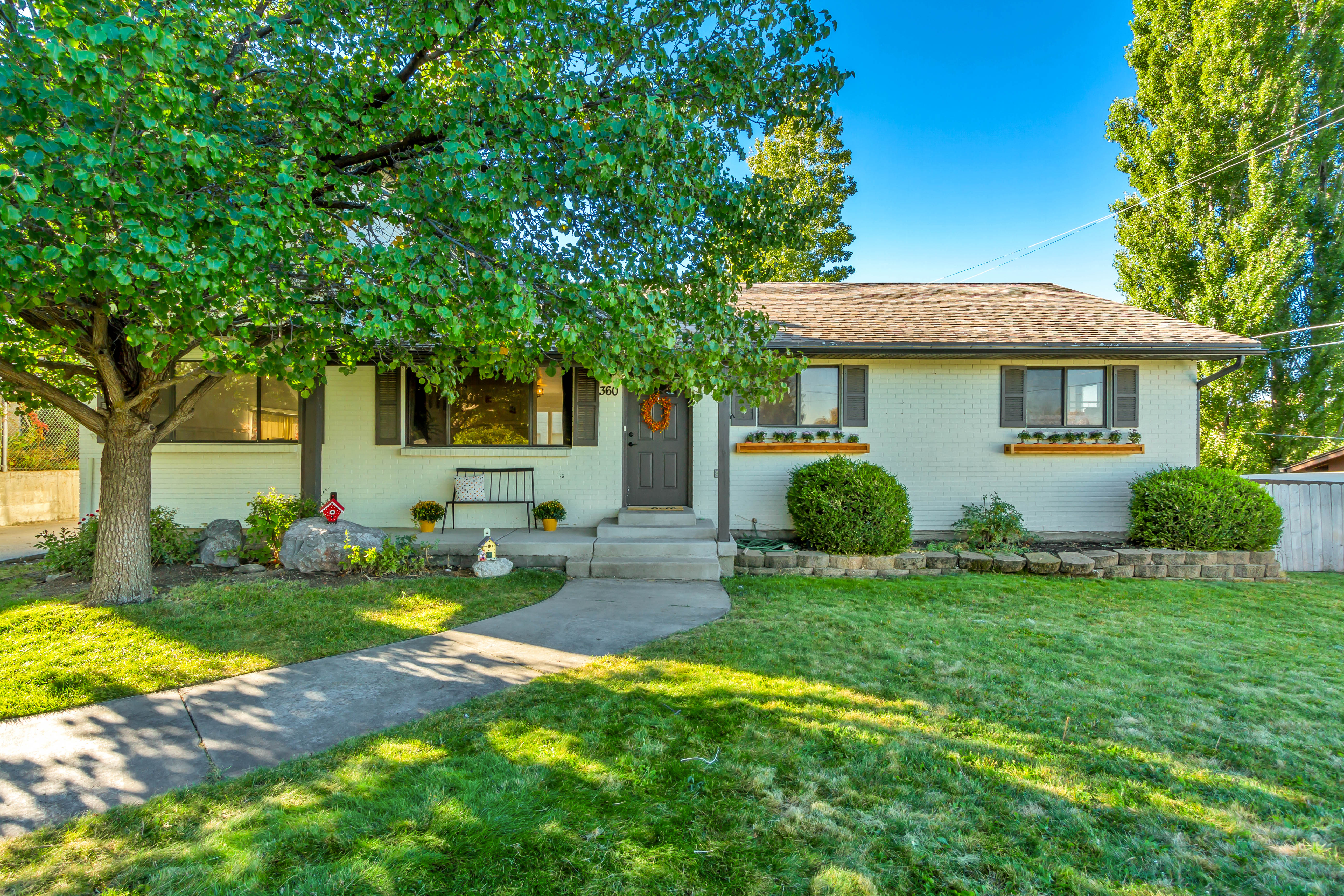 Property exterior featuring a verdant front lawn, mature shade tree, and concrete pathway
