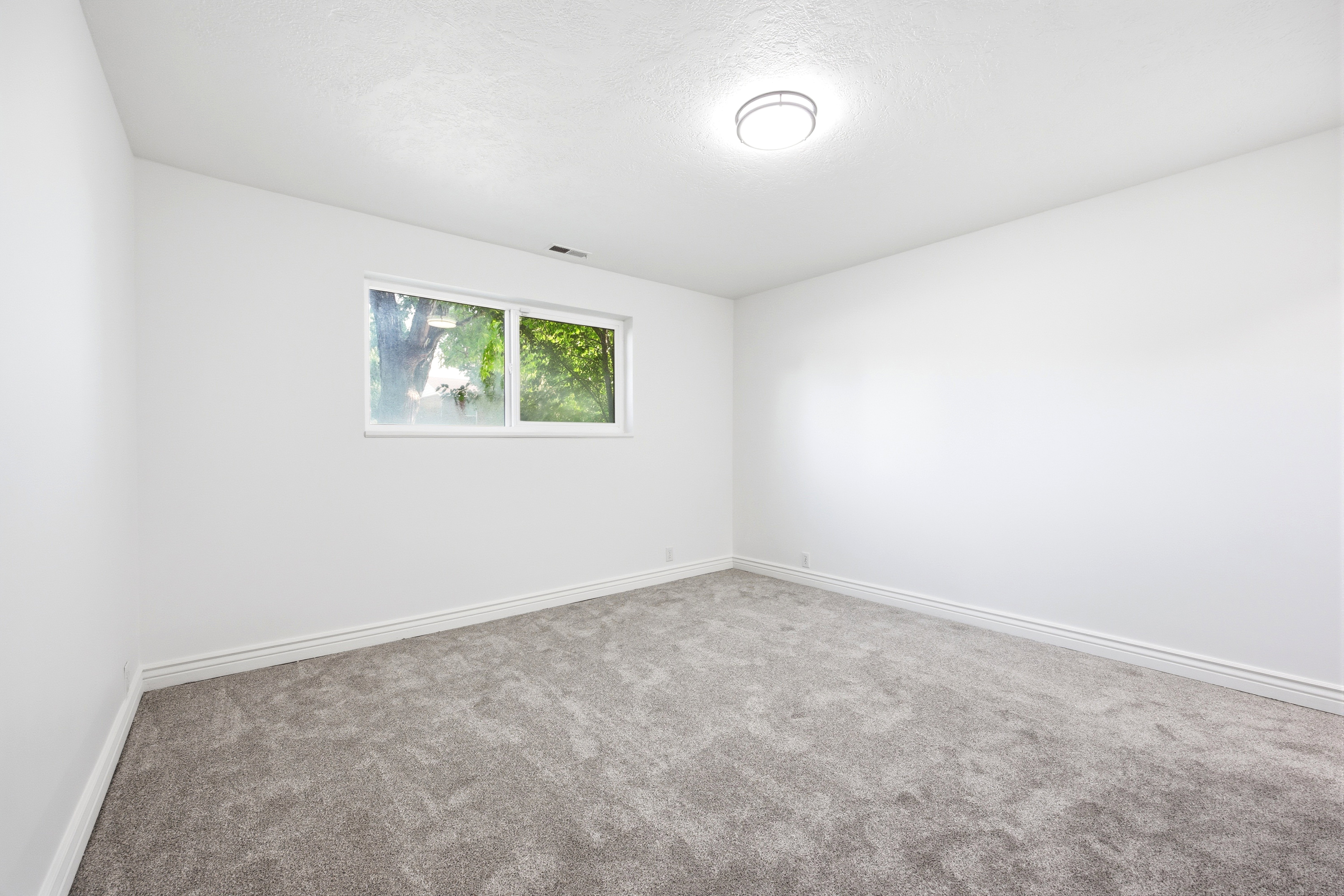 Room featuring plush gray carpeting, white walls, and white trim