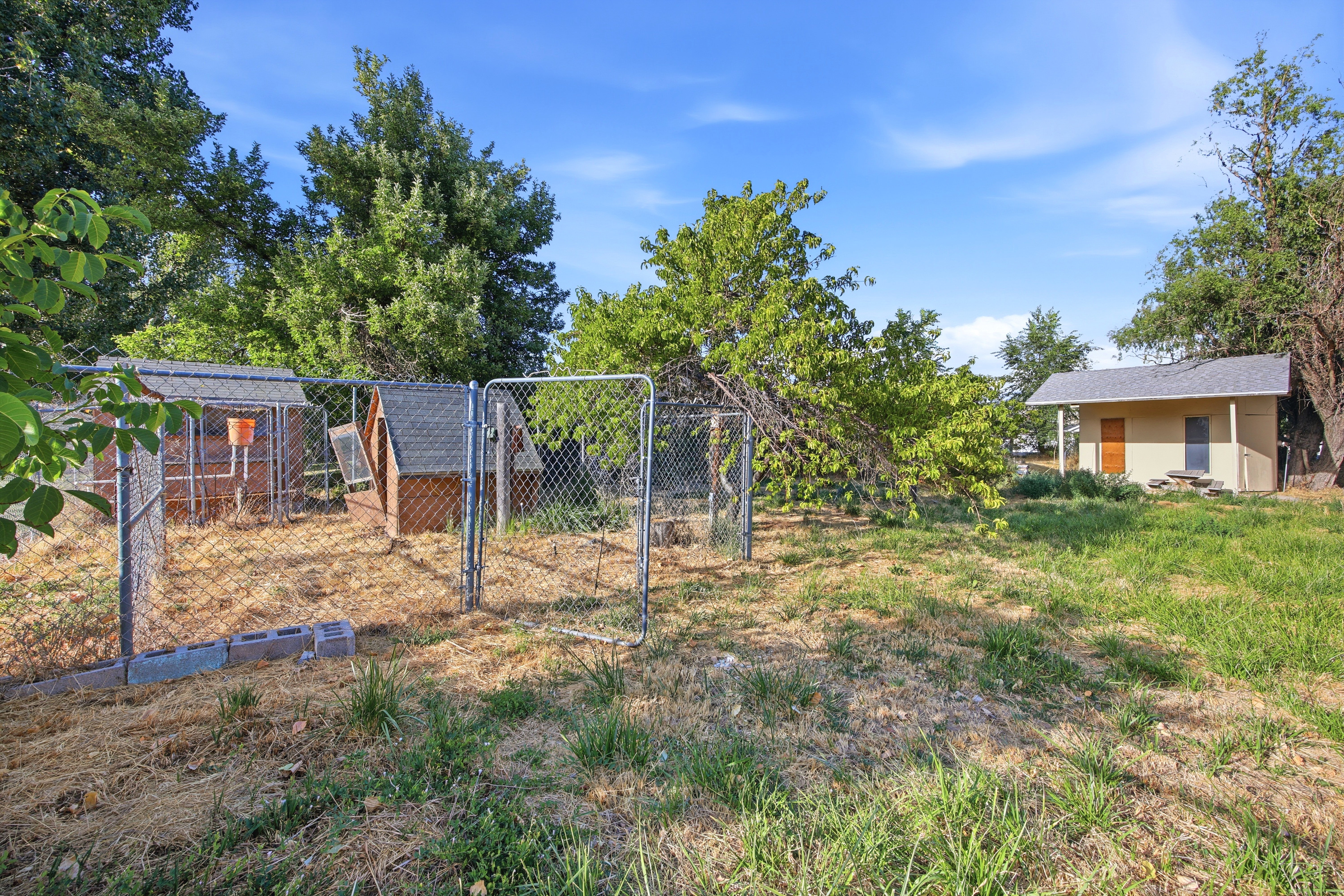 Expansive outdoor area featuring a separate utility building with a covered porch, chain-link fenced enclosures, and mature trees