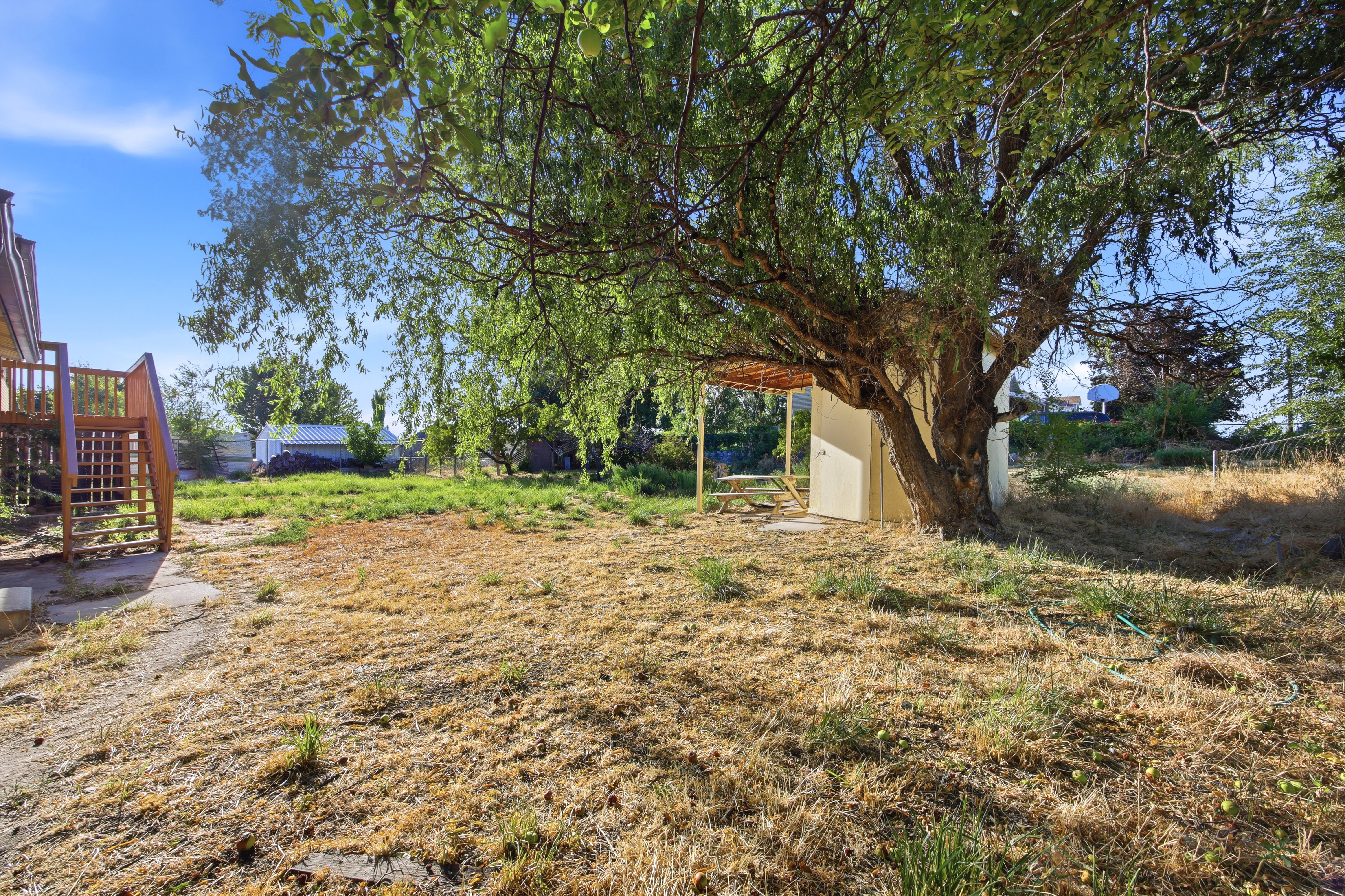 Expansive rear yard featuring mature trees, a detached storage shed, and a wooden deck
