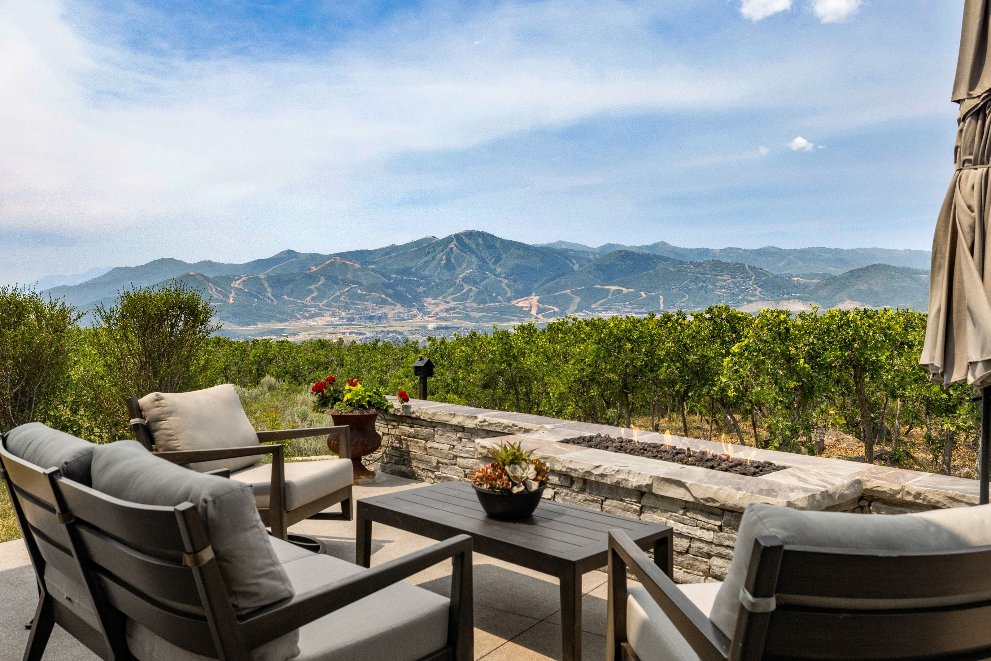 Expansive outdoor patio featuring a stone-clad fire pit, mature green foliage, a paved surface, and distant mountain scenery