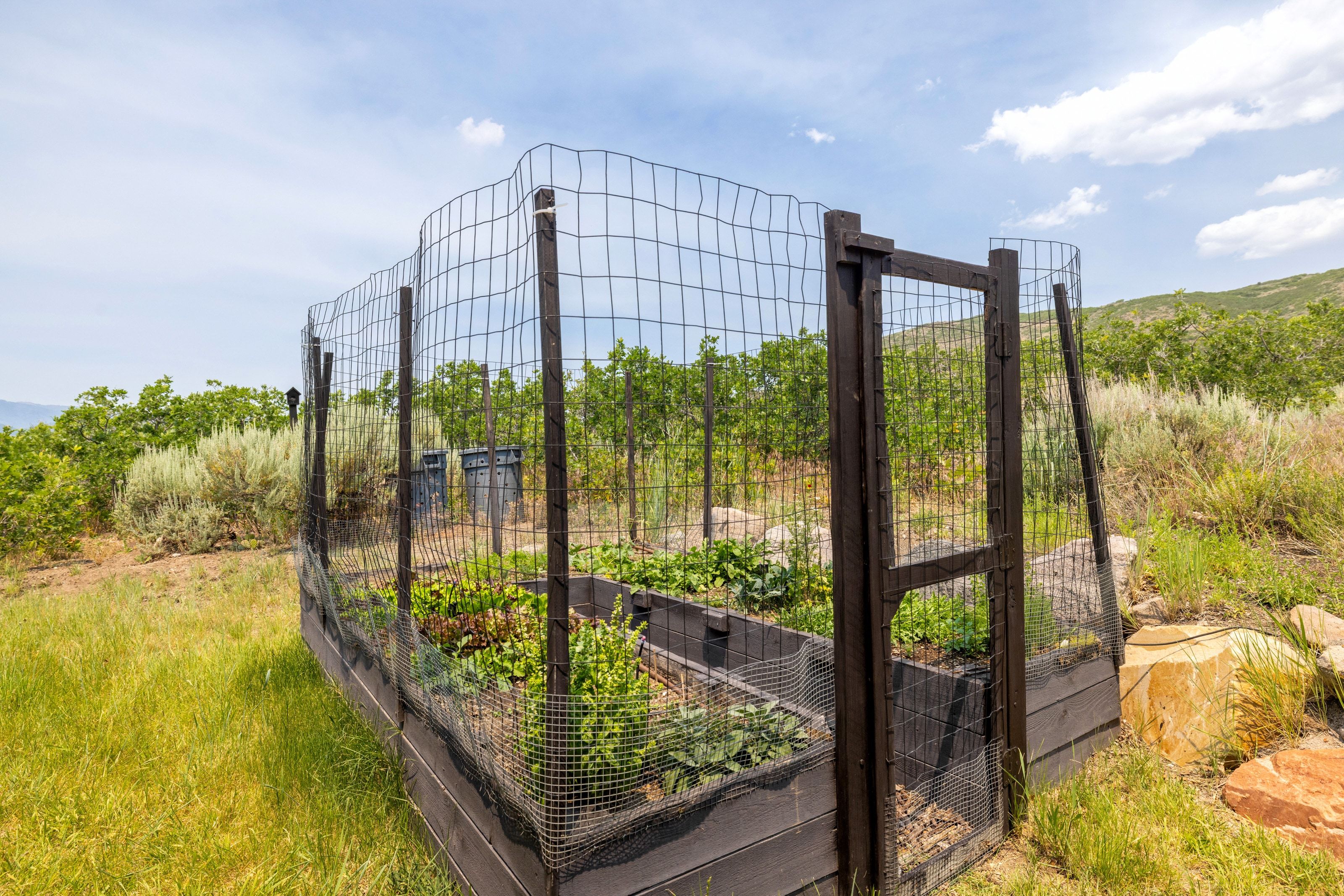 Fenced garden enclosure featuring raised planting beds with established greenery