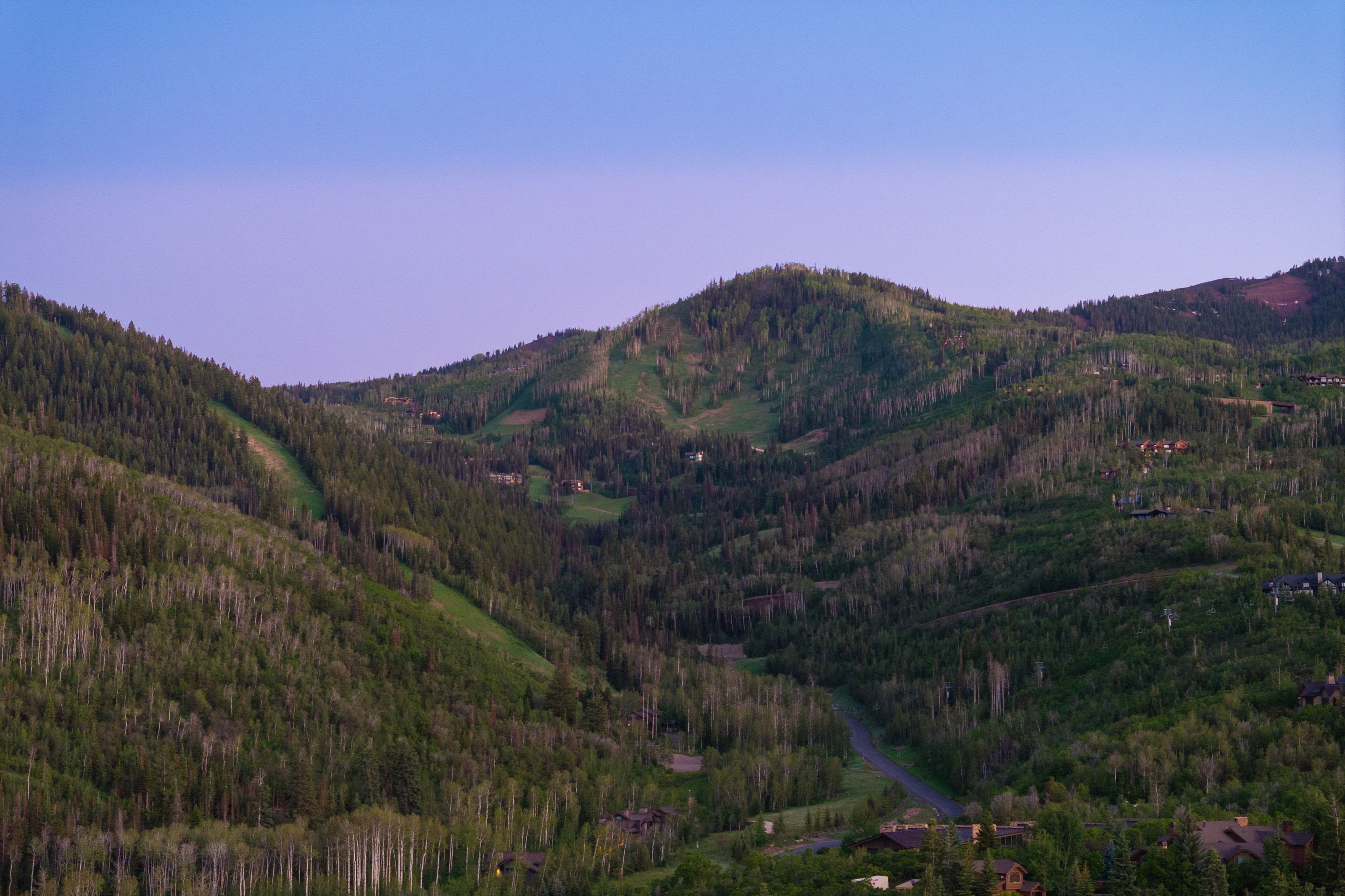 Expansive mountain terrain featuring dense evergreen and deciduous trees, a winding paved road, and scattered residential structures