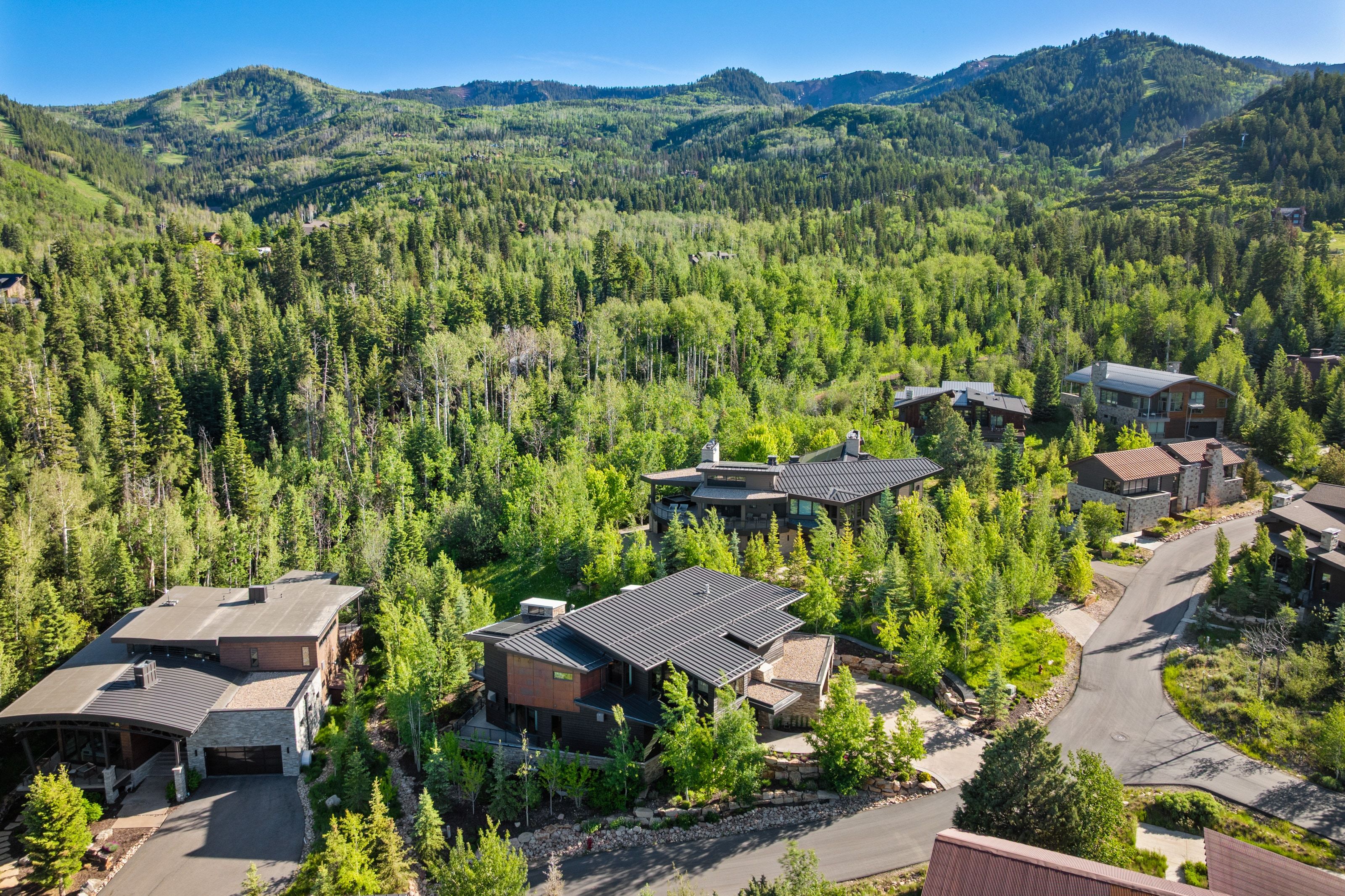Expansive mountain landscape with diverse evergreen and deciduous trees