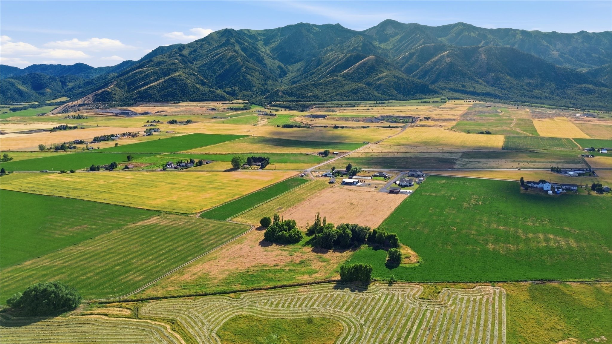 Expansive agricultural land featuring diverse crop fields and mountainous terrain