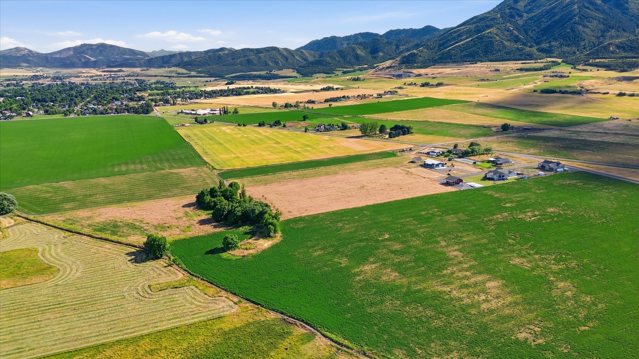 Expansive agricultural landscape featuring cultivated fields and scattered residential properties, set against a backdrop of distant mountains