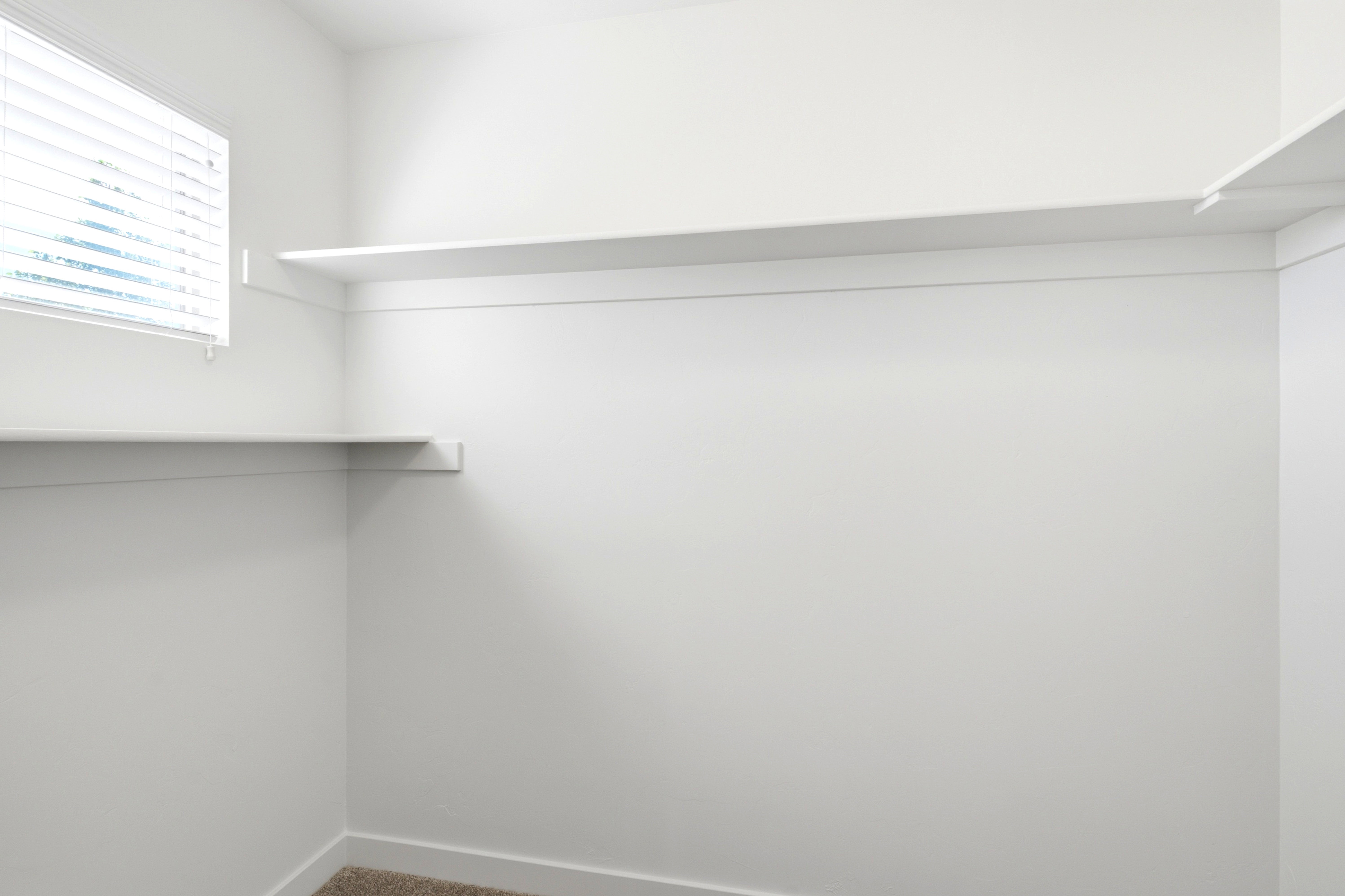 Walk-in closet featuring built-in shelving, carpet flooring, and a window with blinds