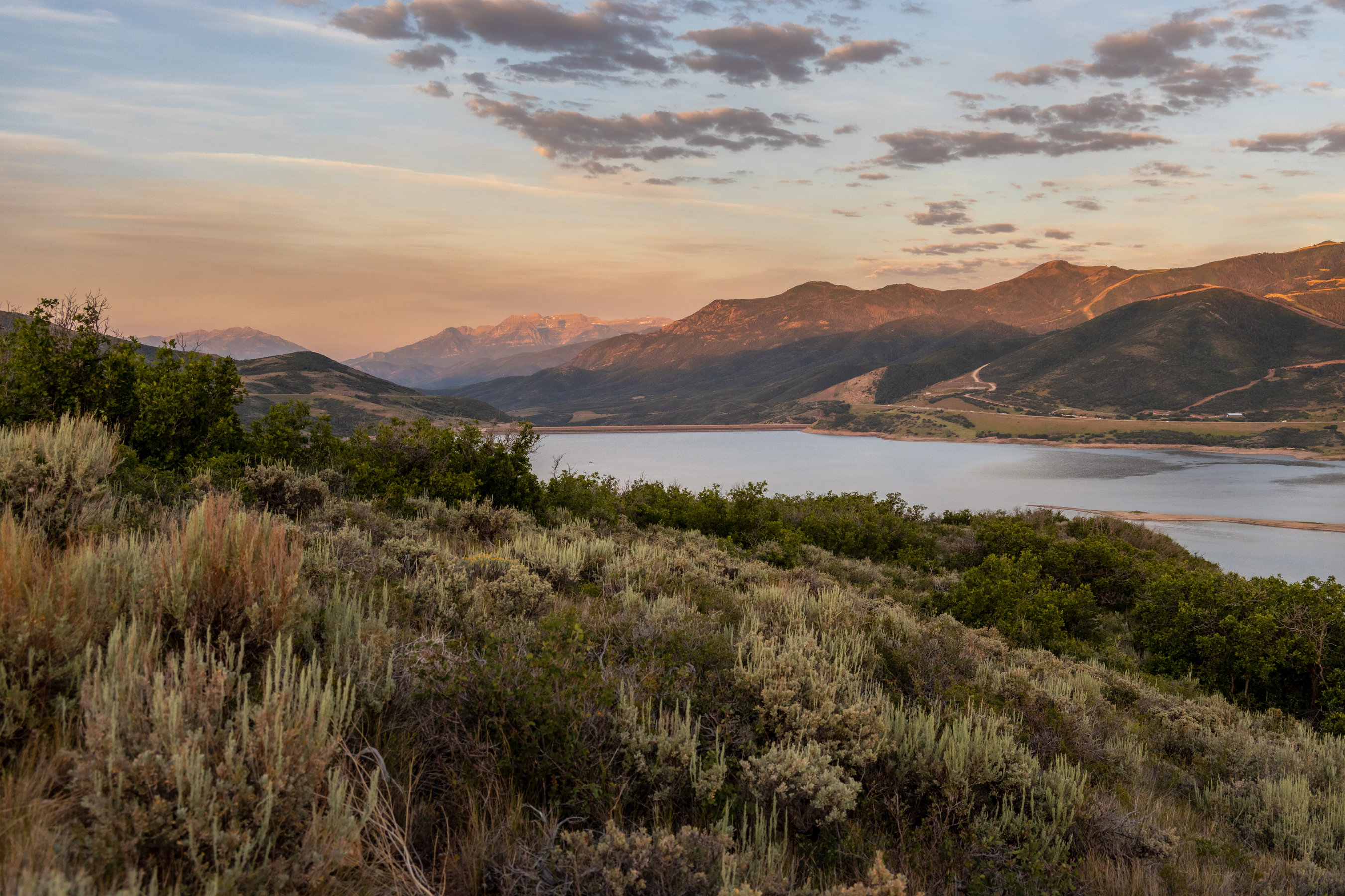 Expansive natural terrain featuring diverse brush and shrubs, leading to a prominent body of water