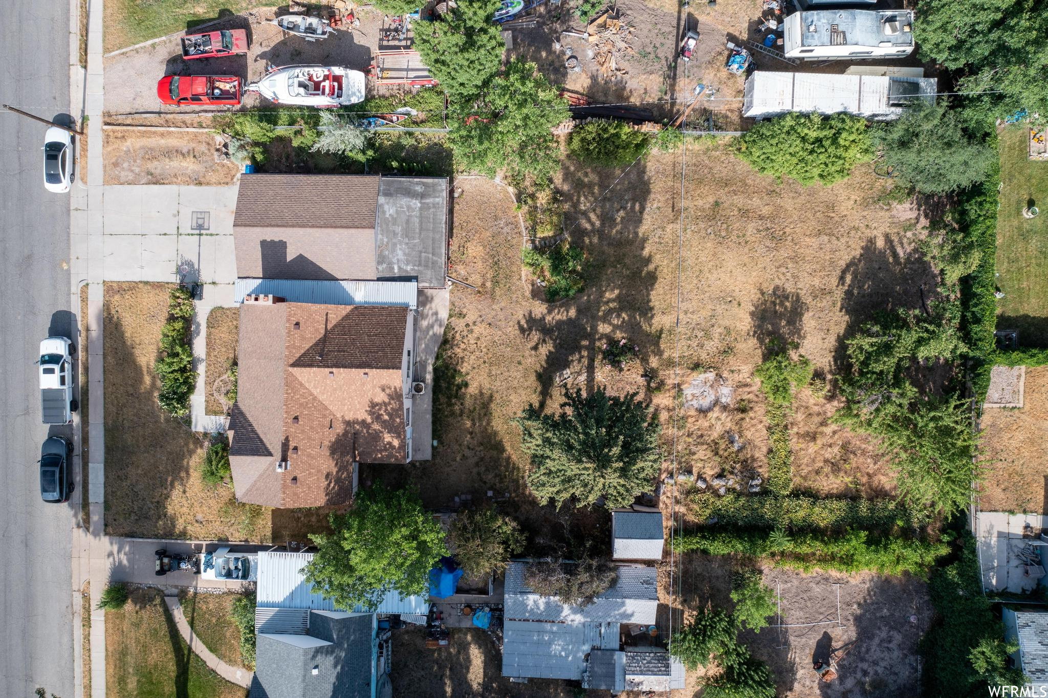 Expansive lot featuring a large open area, mature perimeter trees, and established property lines