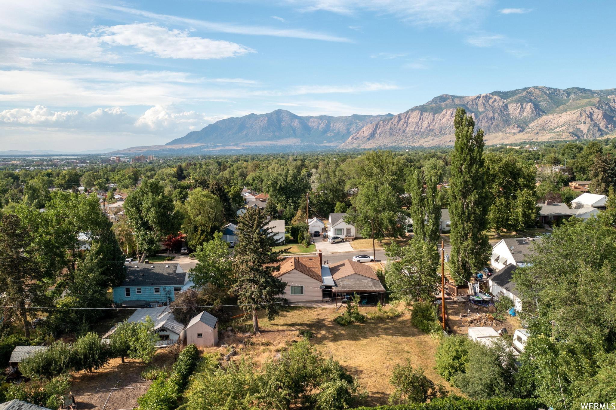 Expansive property featuring a mix of mature trees, open land, and surrounding residential structures