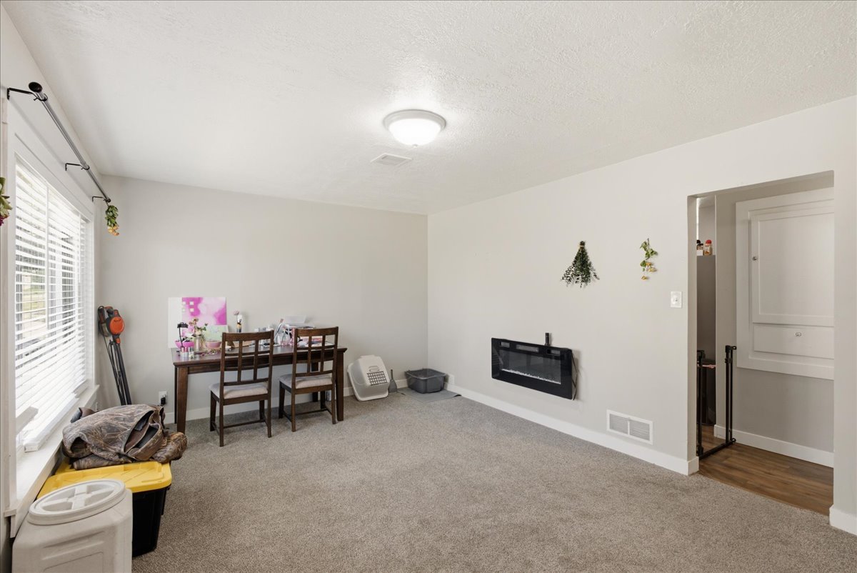 Spacious carpeted room featuring a large window with blinds, a wall-mounted electric fireplace, a flush-mount ceiling light fixture, and an entryway with wood-finish flooring