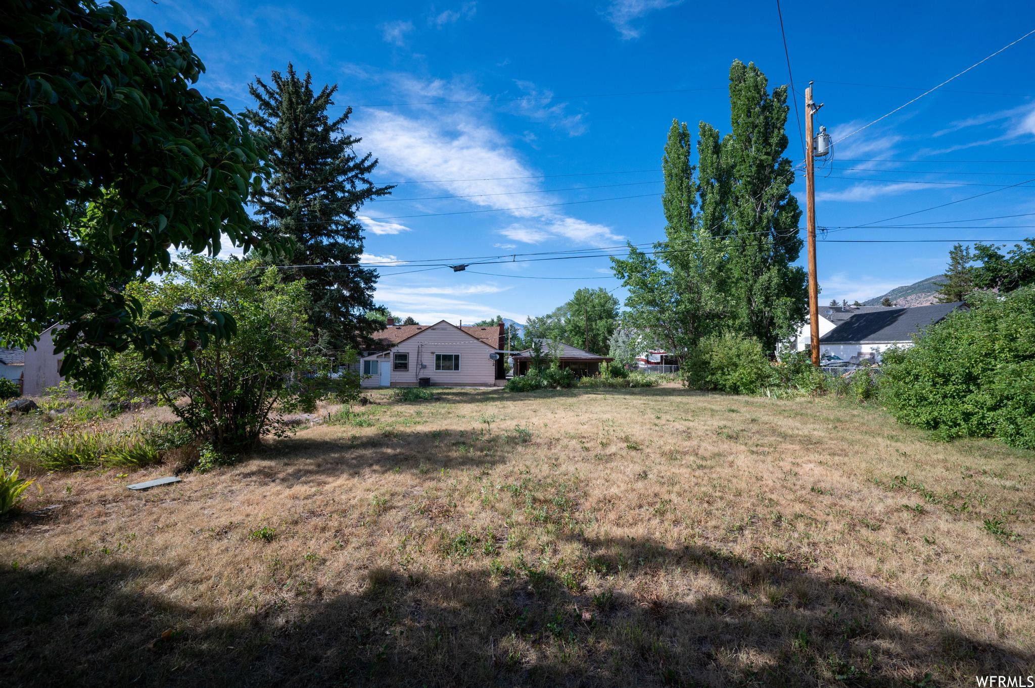 Expansive backyard with a sloped grade, featuring mature trees and established perimeter shrubbery