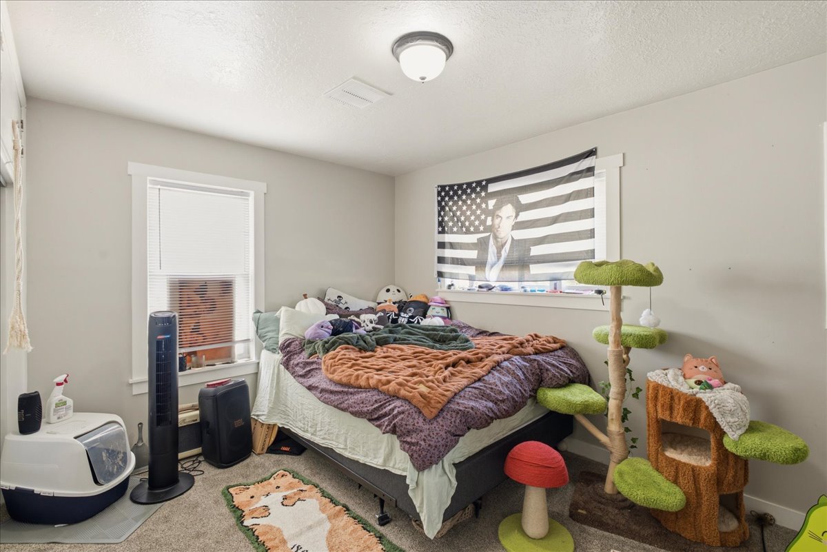 Carpeted room with a ceiling-mounted light fixture and two windows featuring white trim