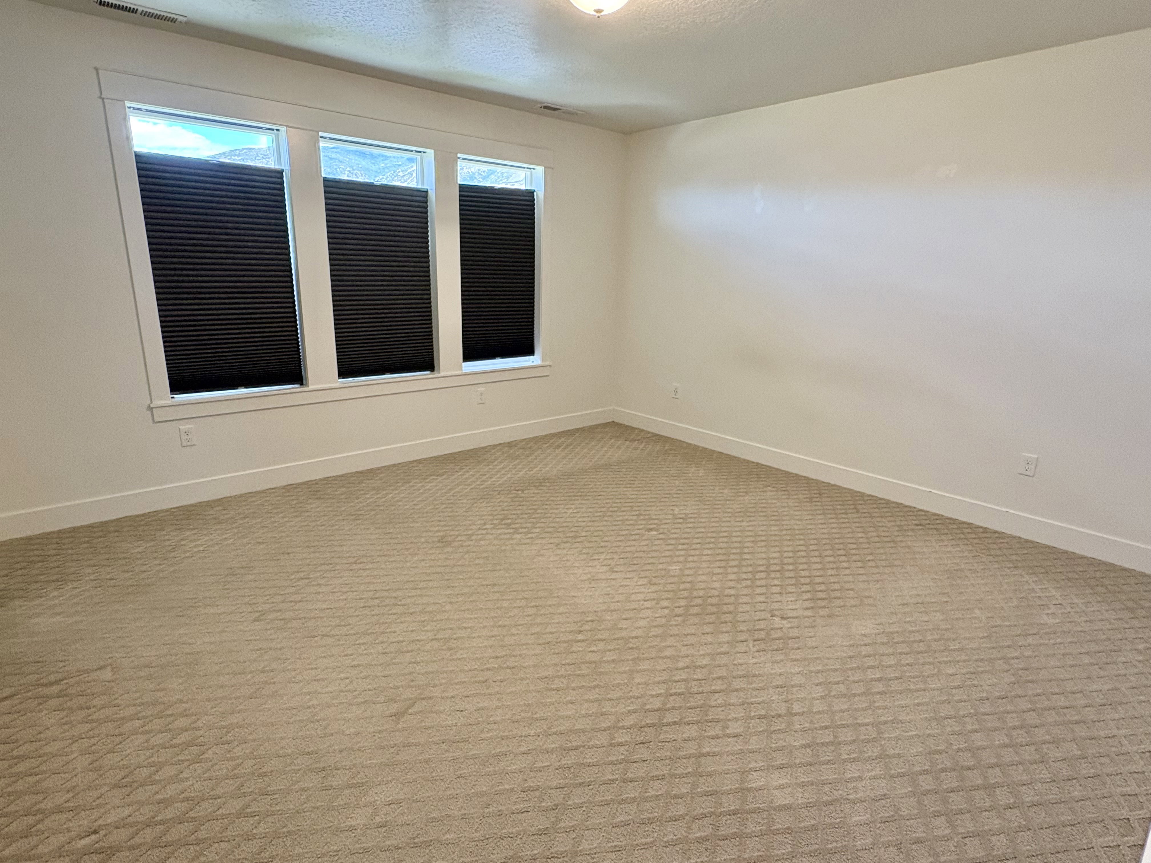 Spacious Main Suite room featuring three windows with black cellular shades, neutral carpeting, and white baseboards