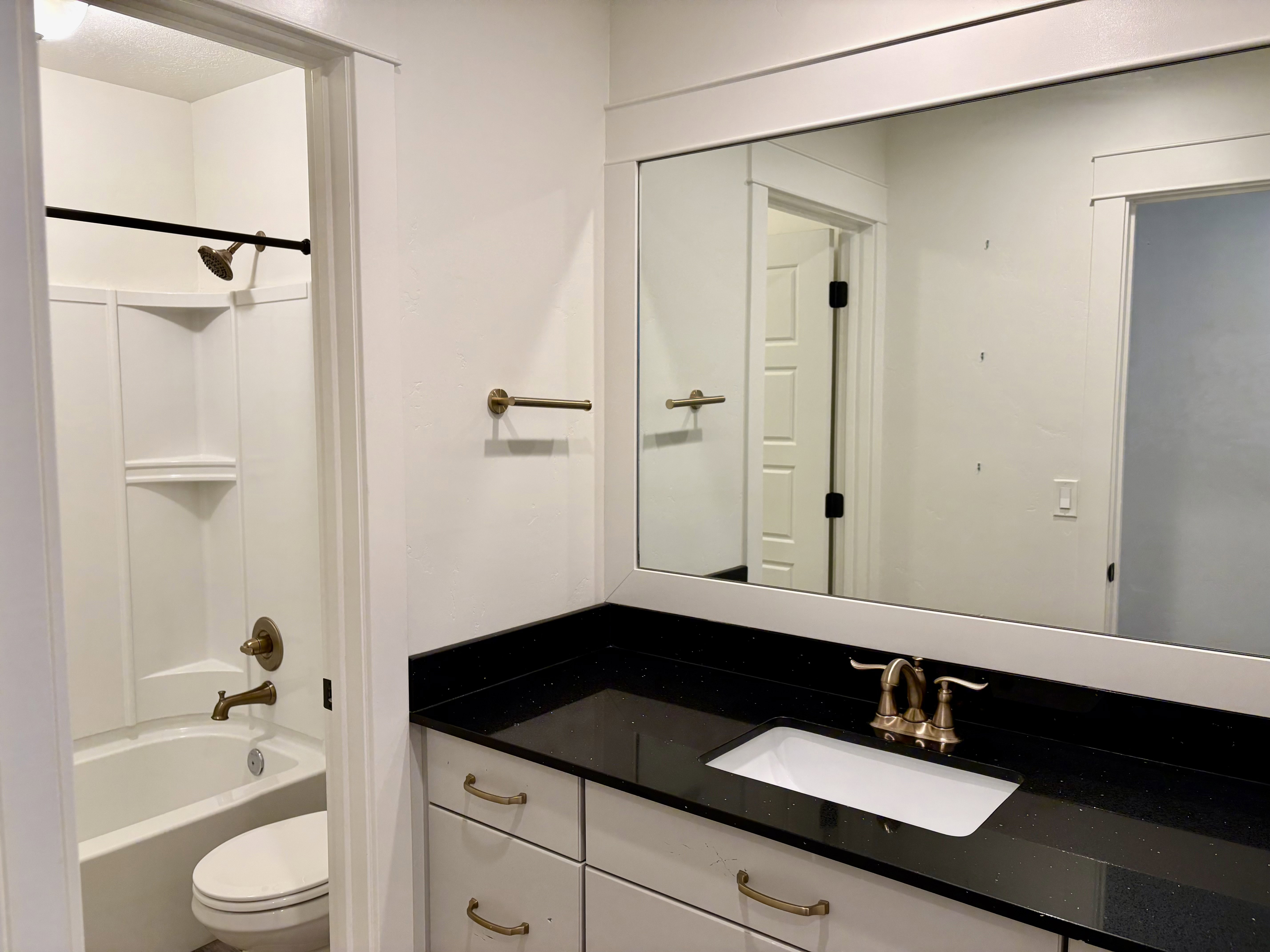 Bathroom featuring a vanity with a dark countertop, an undermount sink, and a framed mirror