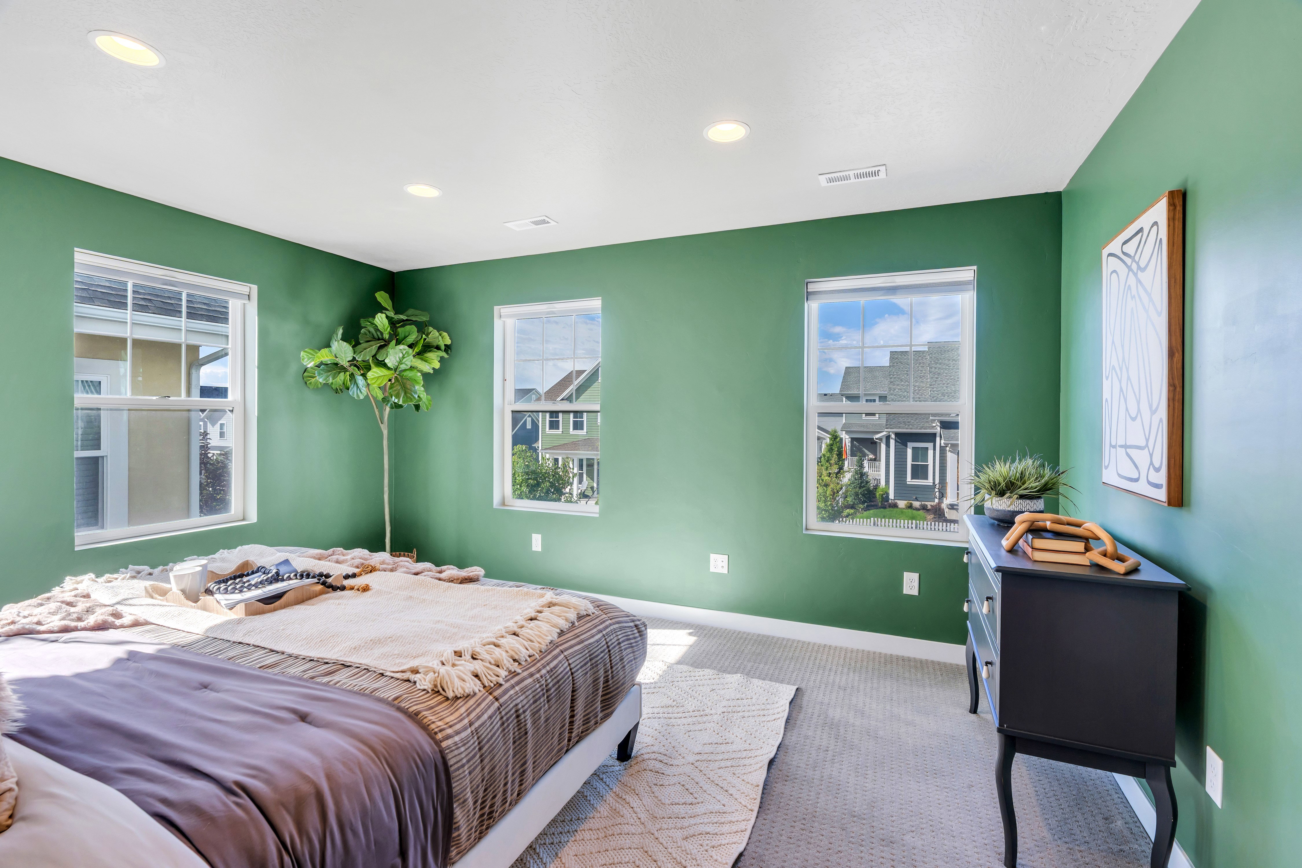 Interior room featuring green walls and a textured area rug