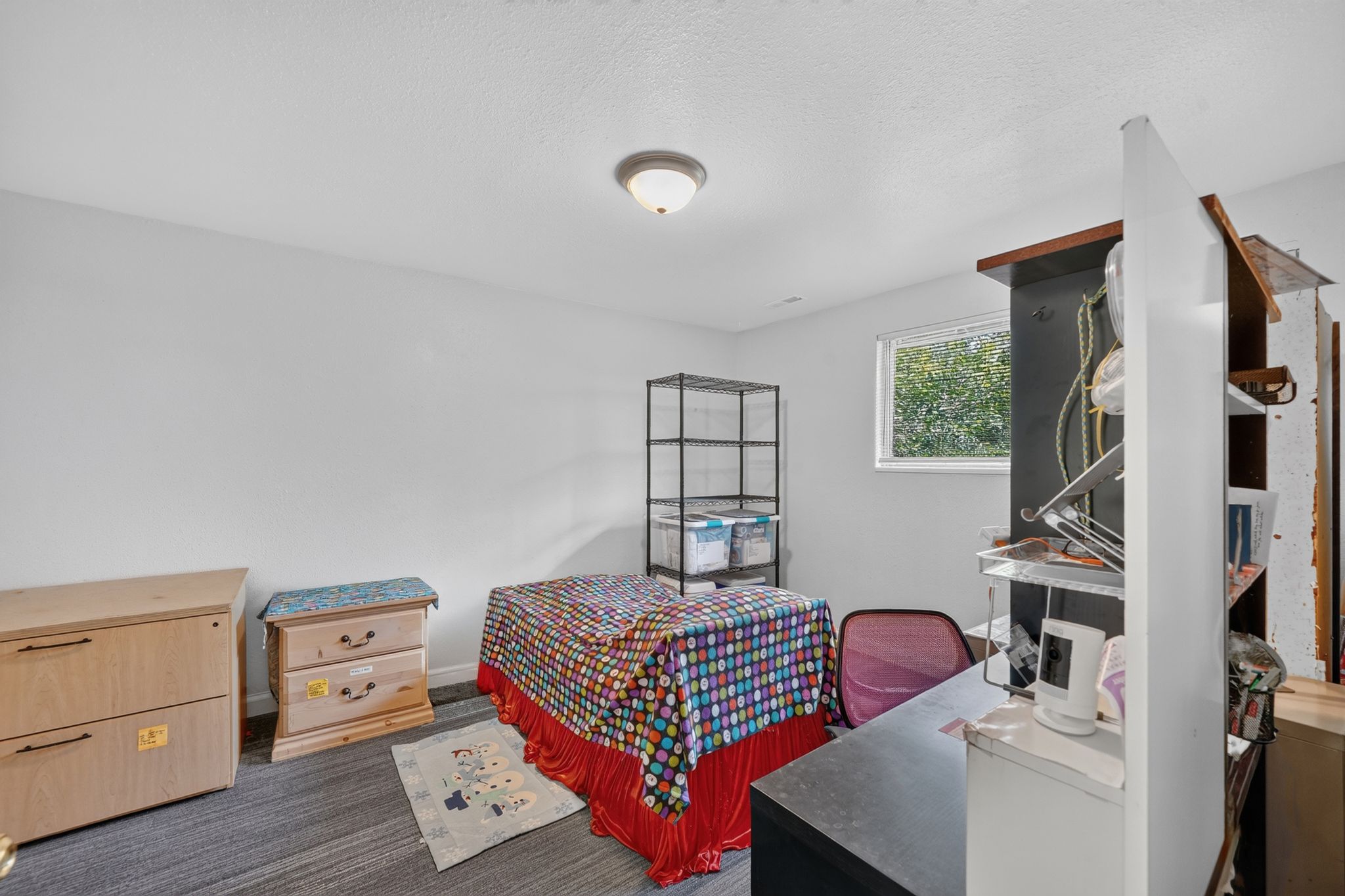Room with white walls, a single window, and carpeted flooring
