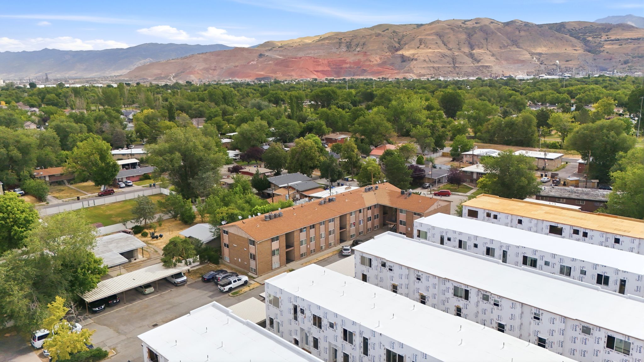 Aerial view showcasing an established neighborhood with mature trees and a distant mountain range