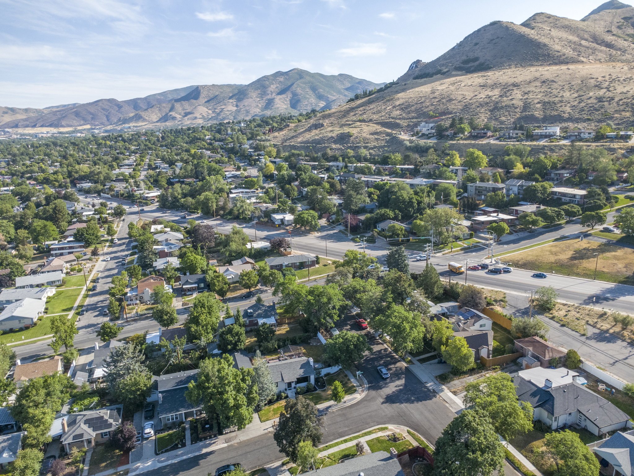 Residential neighborhood featuring mature trees and mountain topography