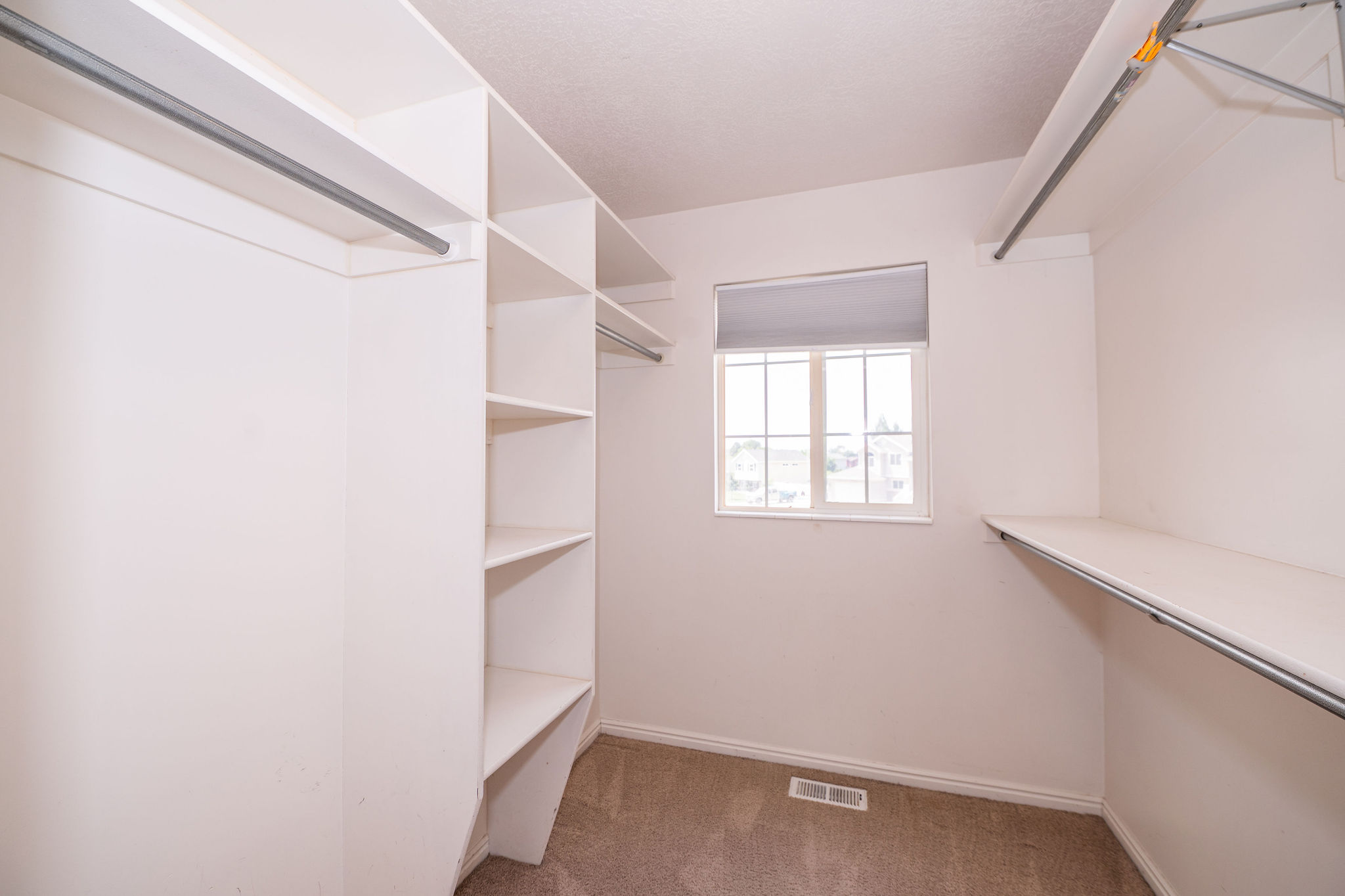 Walk-in closet featuring extensive built-in shelving, multiple hanging rods, a window with natural light, and carpeted flooring