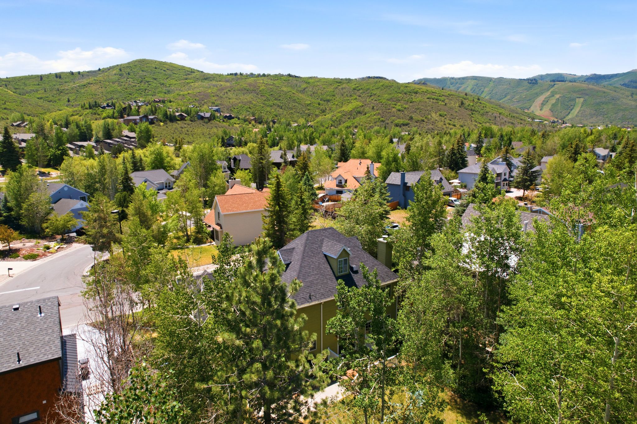 Aerial perspective of a neighborhood featuring varied architectural styles amidst extensive green landscapes
