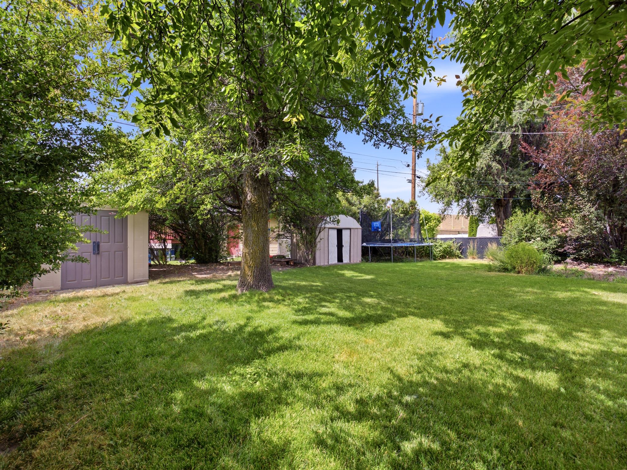 Expansive green lawn framed by mature trees, featuring a storage shed with double doors and a smaller shed