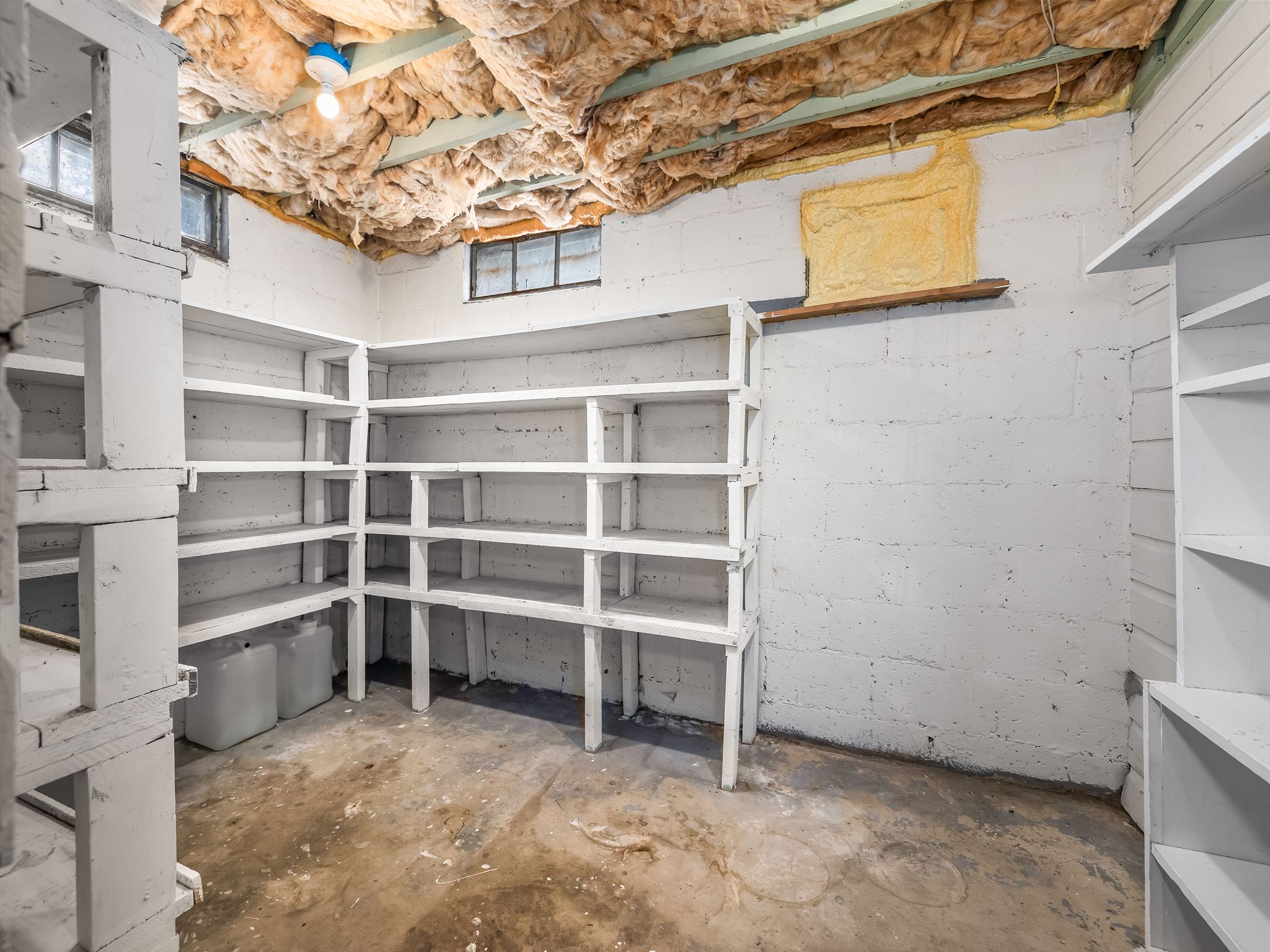 Basement storage area featuring extensive built-in shelving, exposed ceiling joists with insulation, concrete block walls, and multiple small windows