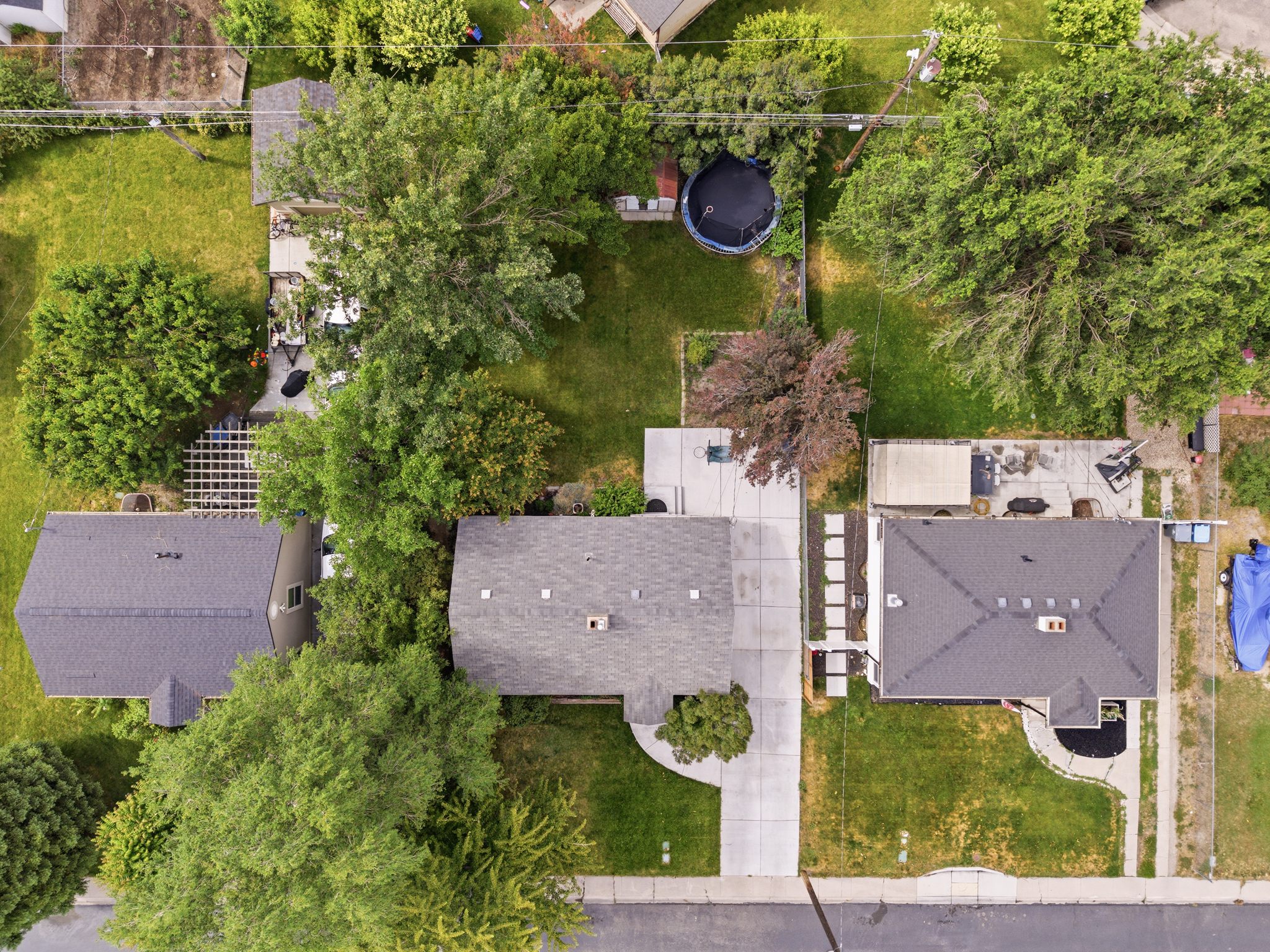 Property with a prominent gray shingle roof, mature trees, and an extensive driveway
