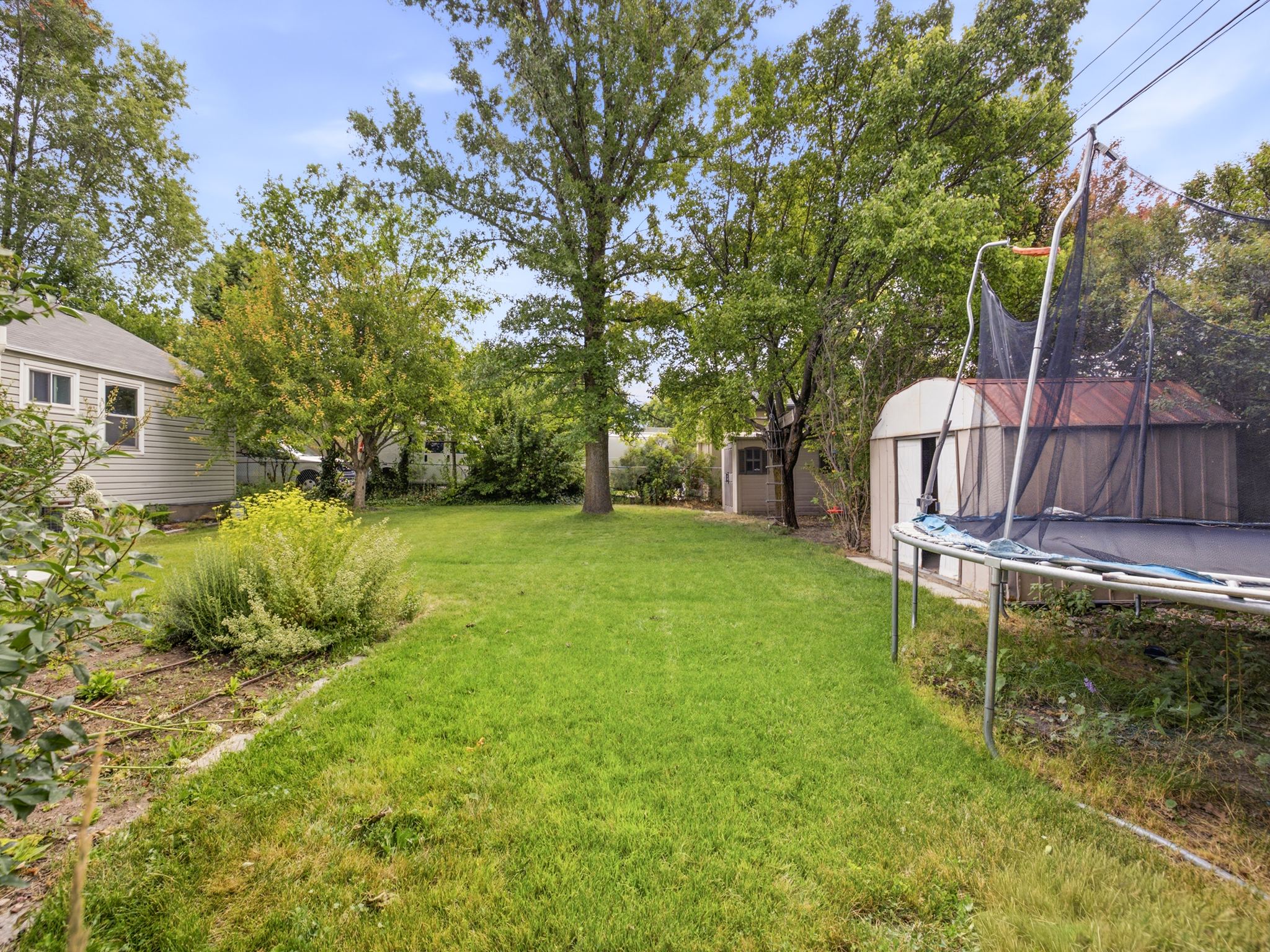 Expansive grassy backyard featuring mature trees, a detached siding storage shed, and a second metal storage shed