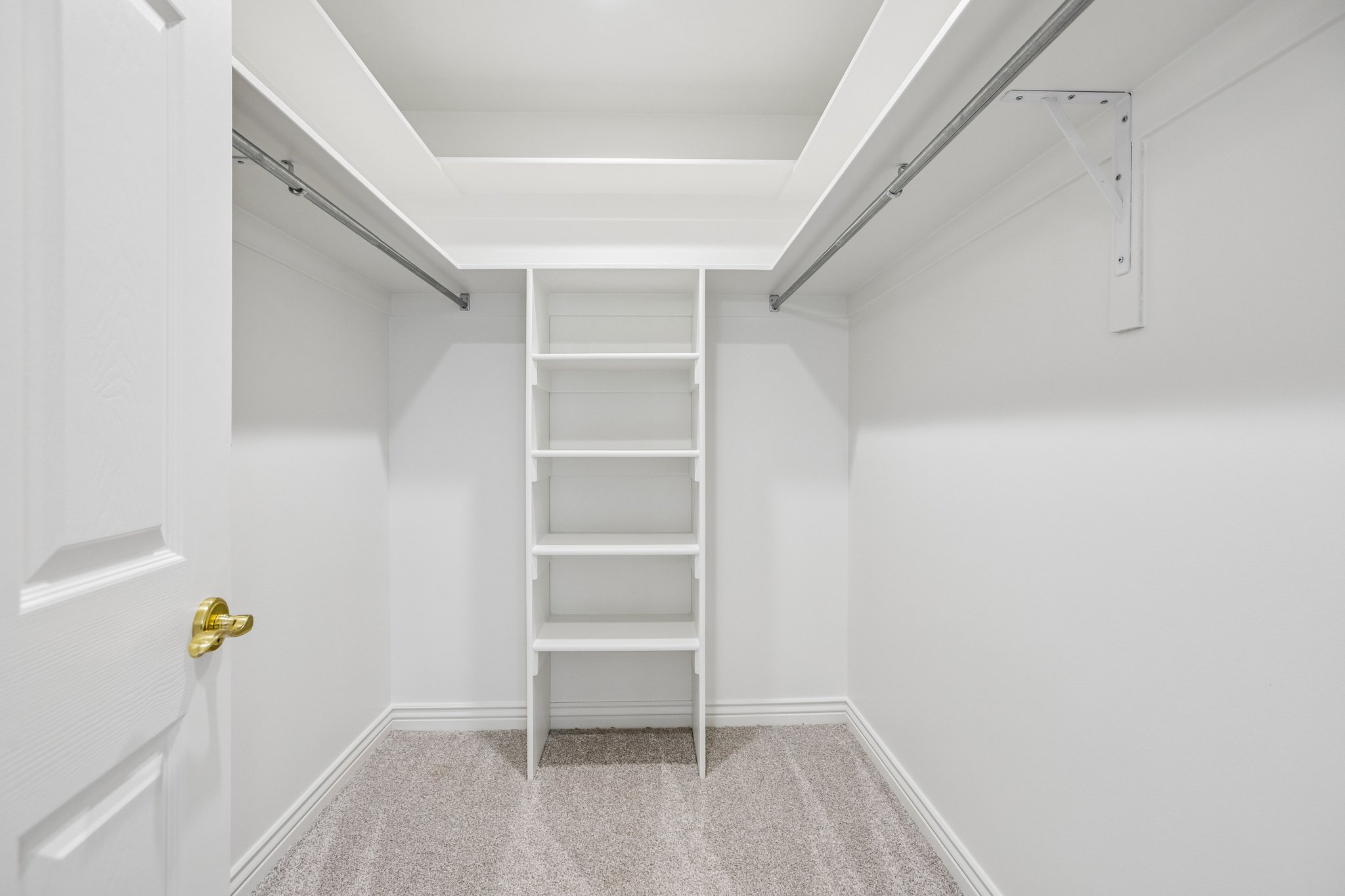 Walk-in closet with carpet flooring, white walls, and built-in shelving