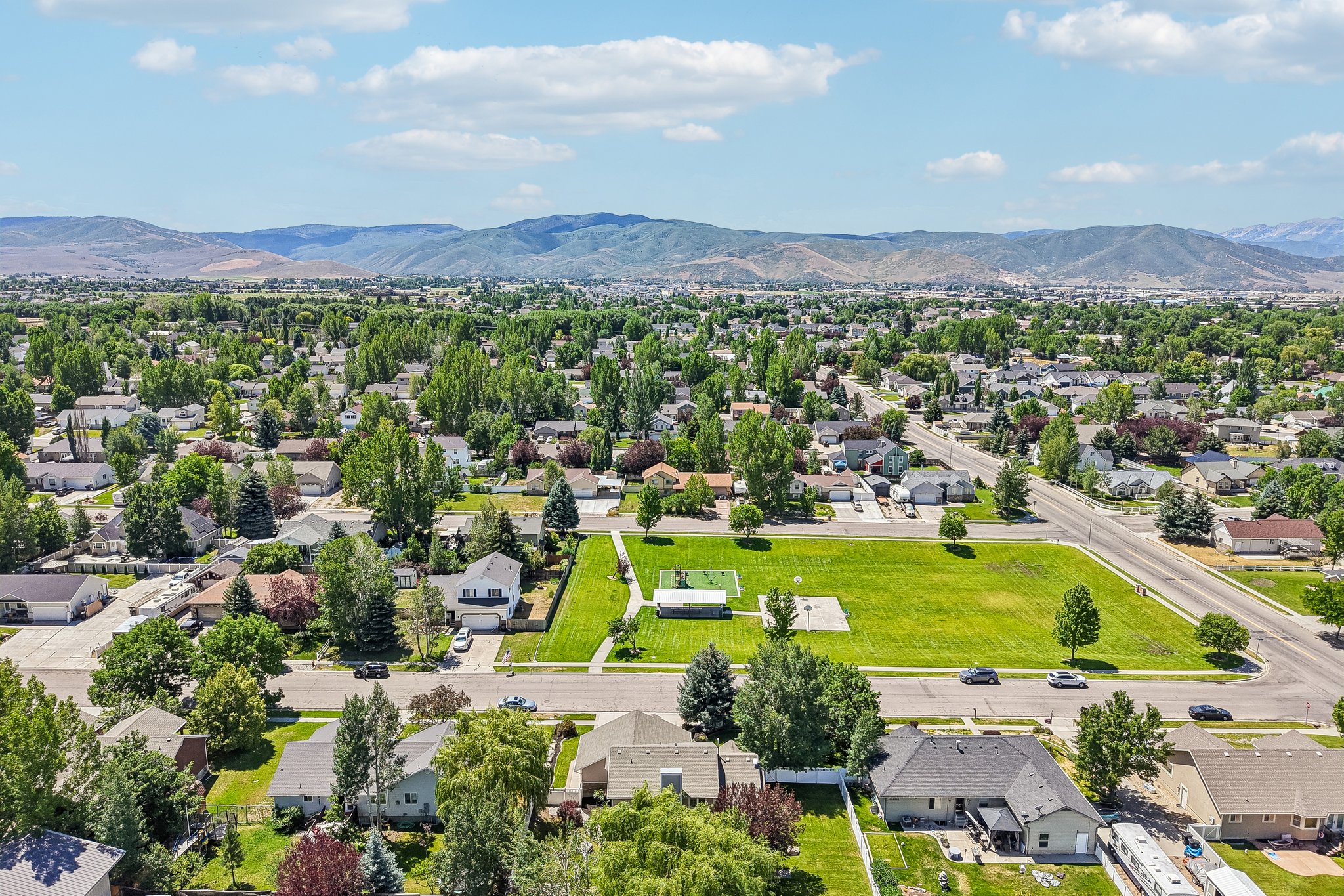 Expansive green space and a surrounding neighborhood with mature trees