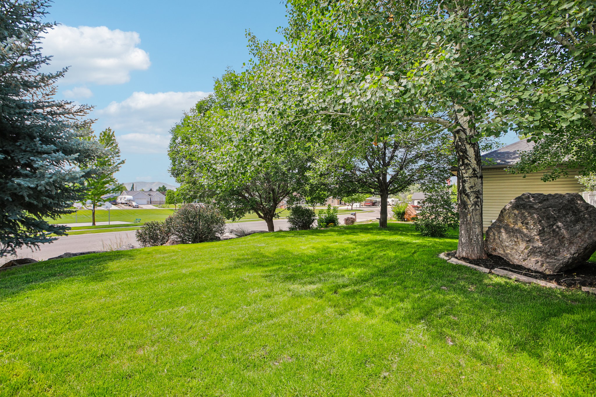 Expansive lawn with mature trees, shrubbery, and decorative rock elements