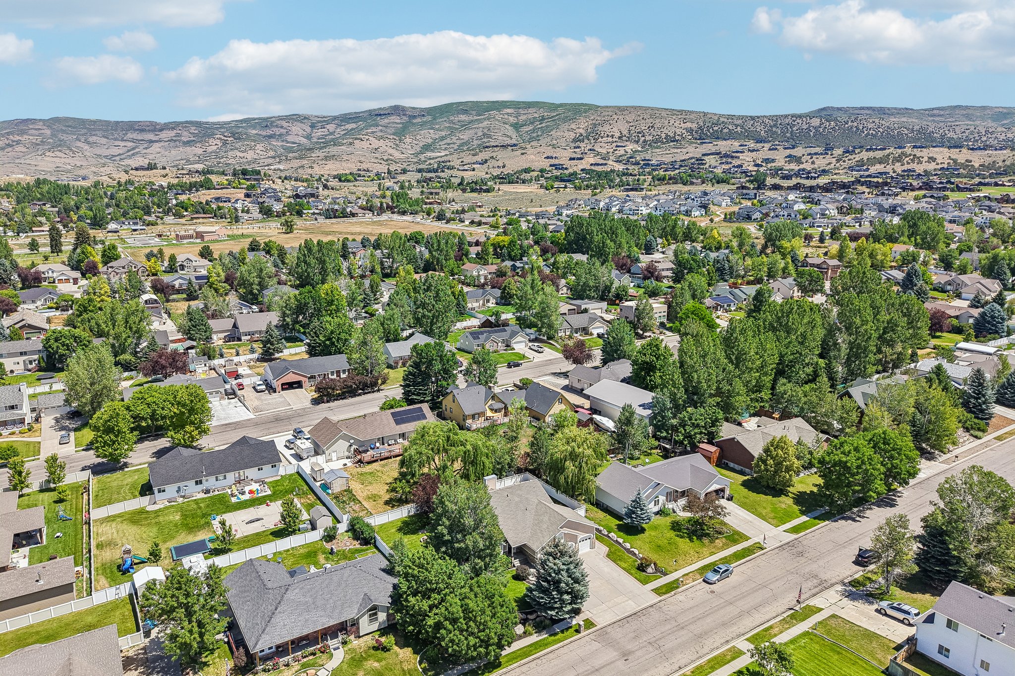 Established residential area featuring mature trees and paved streets