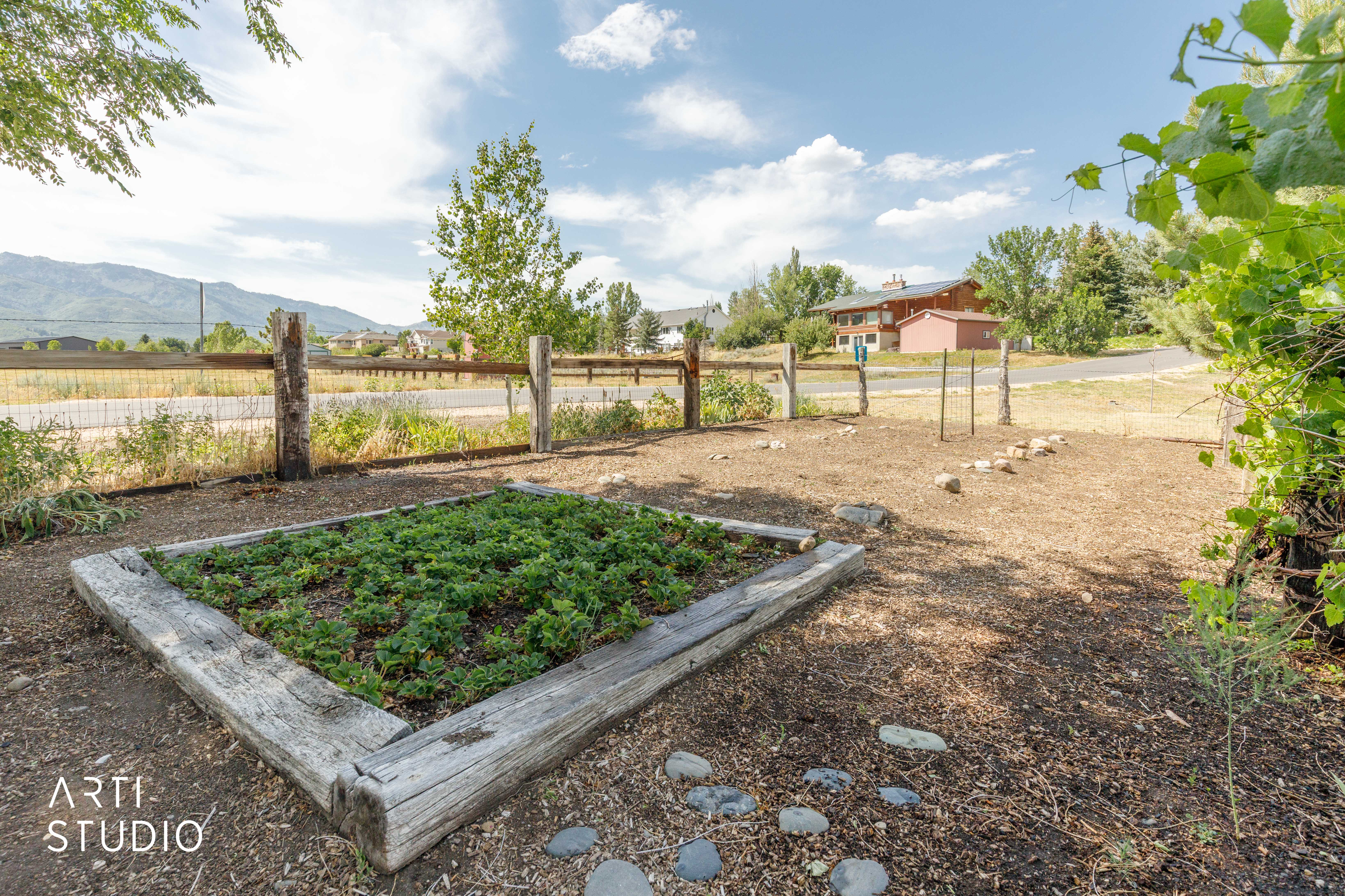 Raised garden bed with established plantings, surrounded by natural ground cover