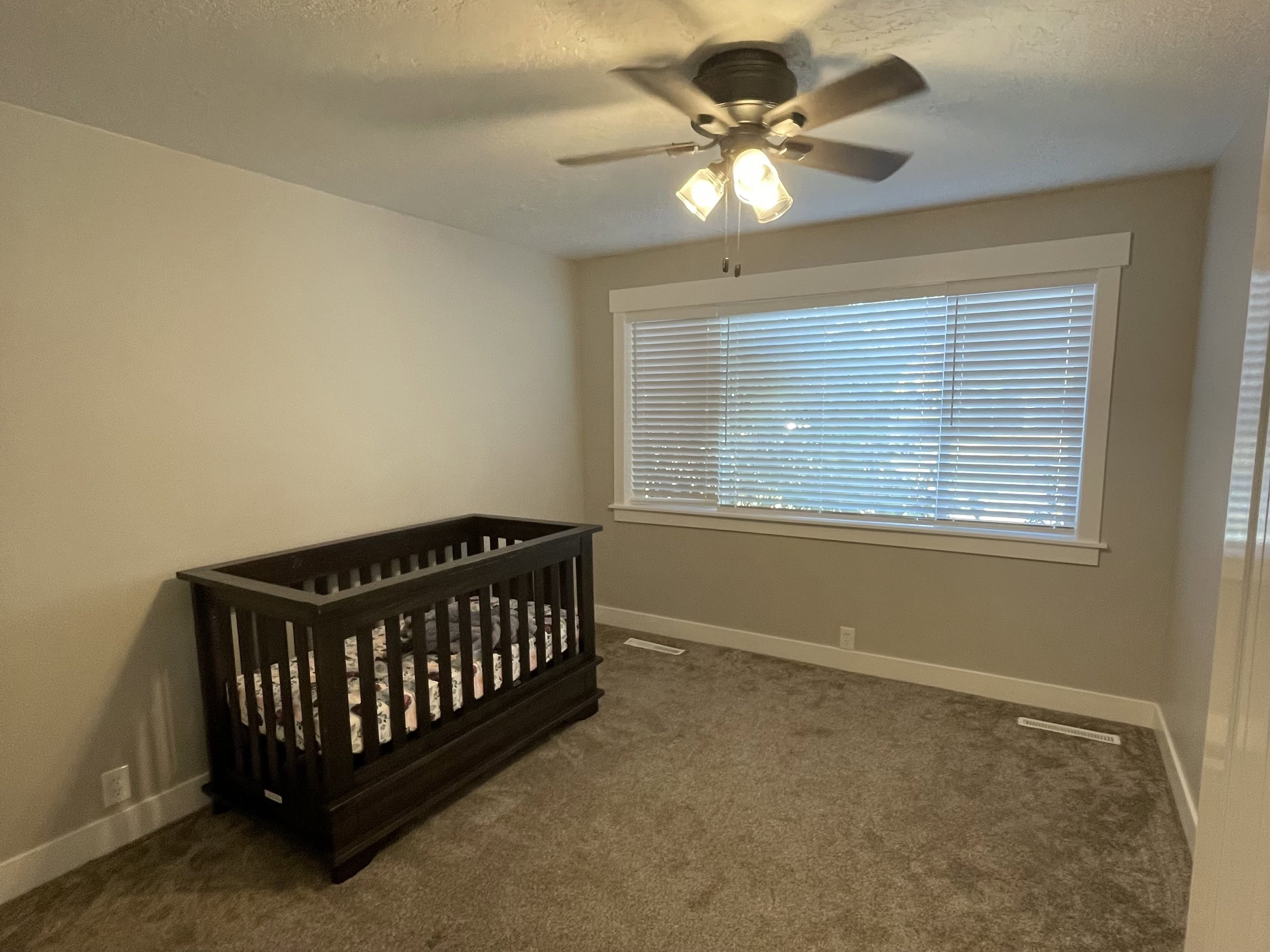 Carpeted room featuring a ceiling fan with integrated lighting, a wide window with blinds, and white trim