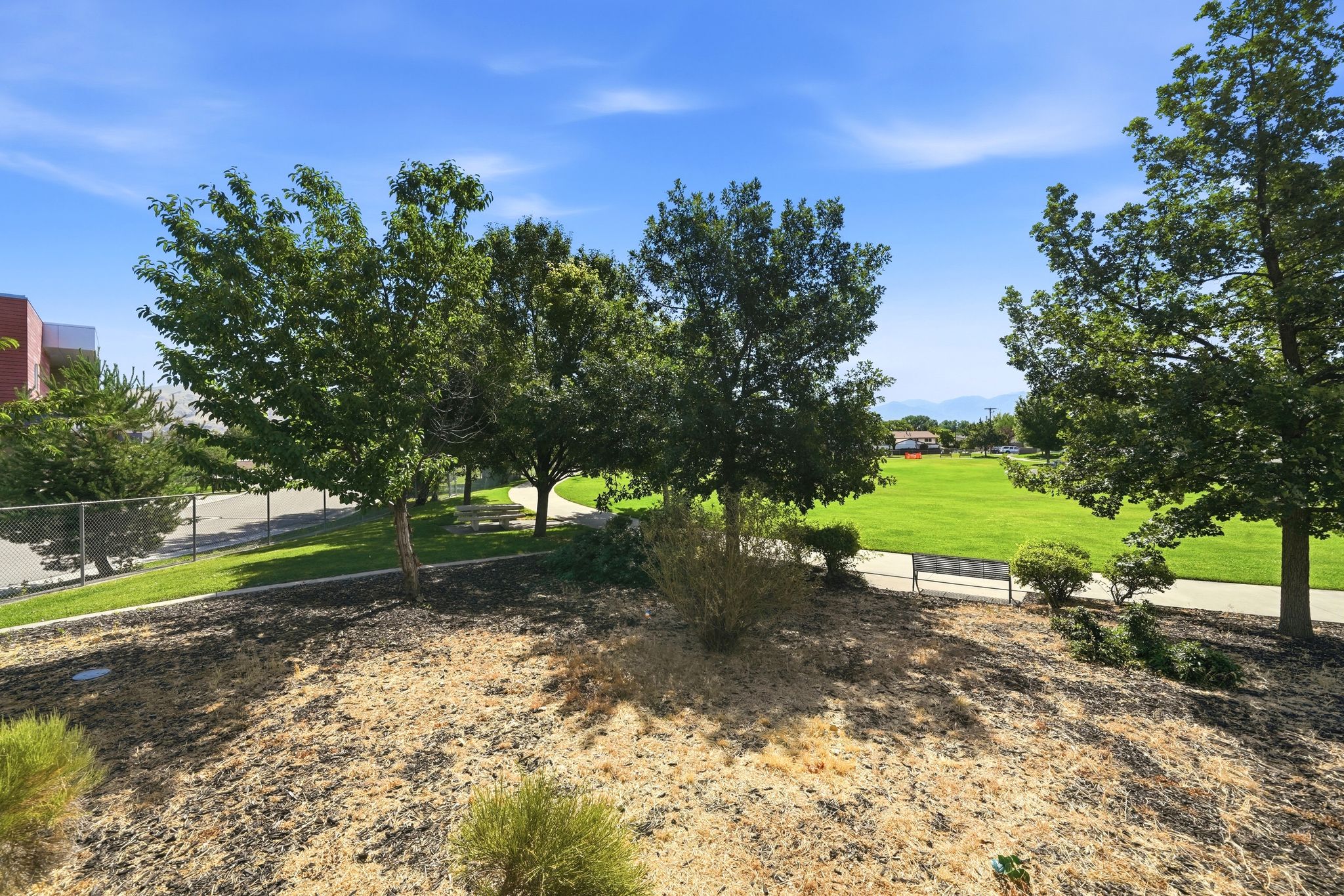 Expansive green space featuring mature trees and a paved pathway