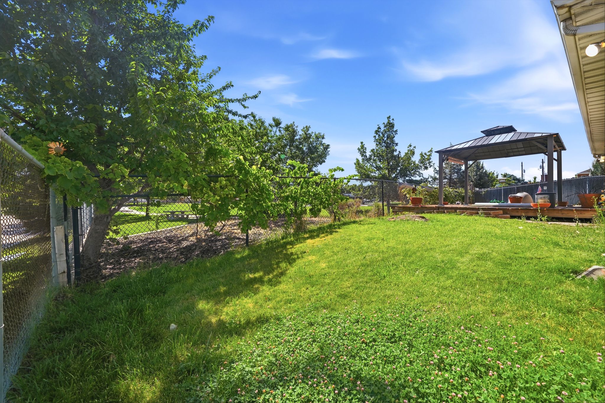 Expansive backyard featuring a lush lawn, mature trees, a chain-link fence, and a wooden deck with a gazebo